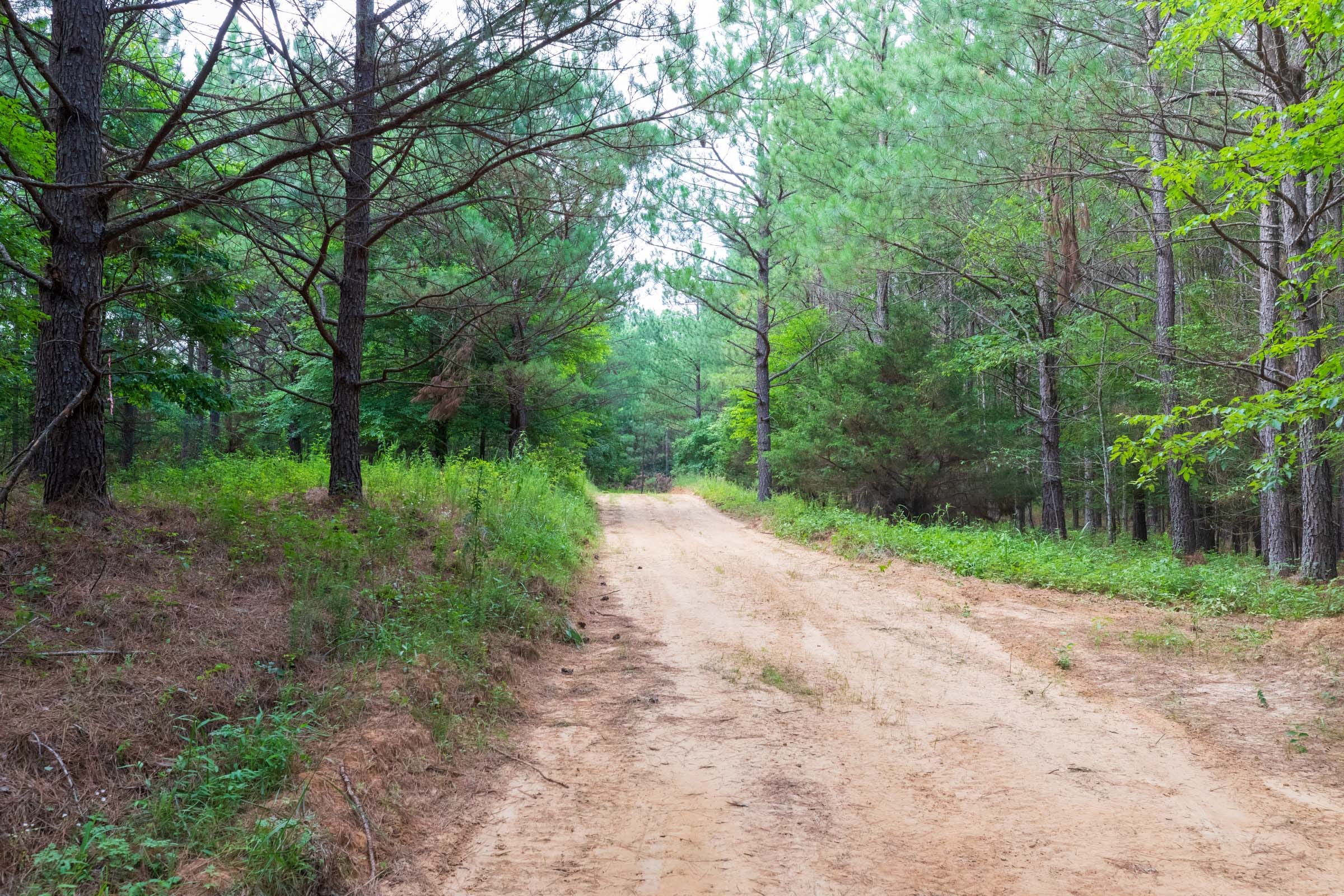 Whiskey Ridge Tract 60 photo 5