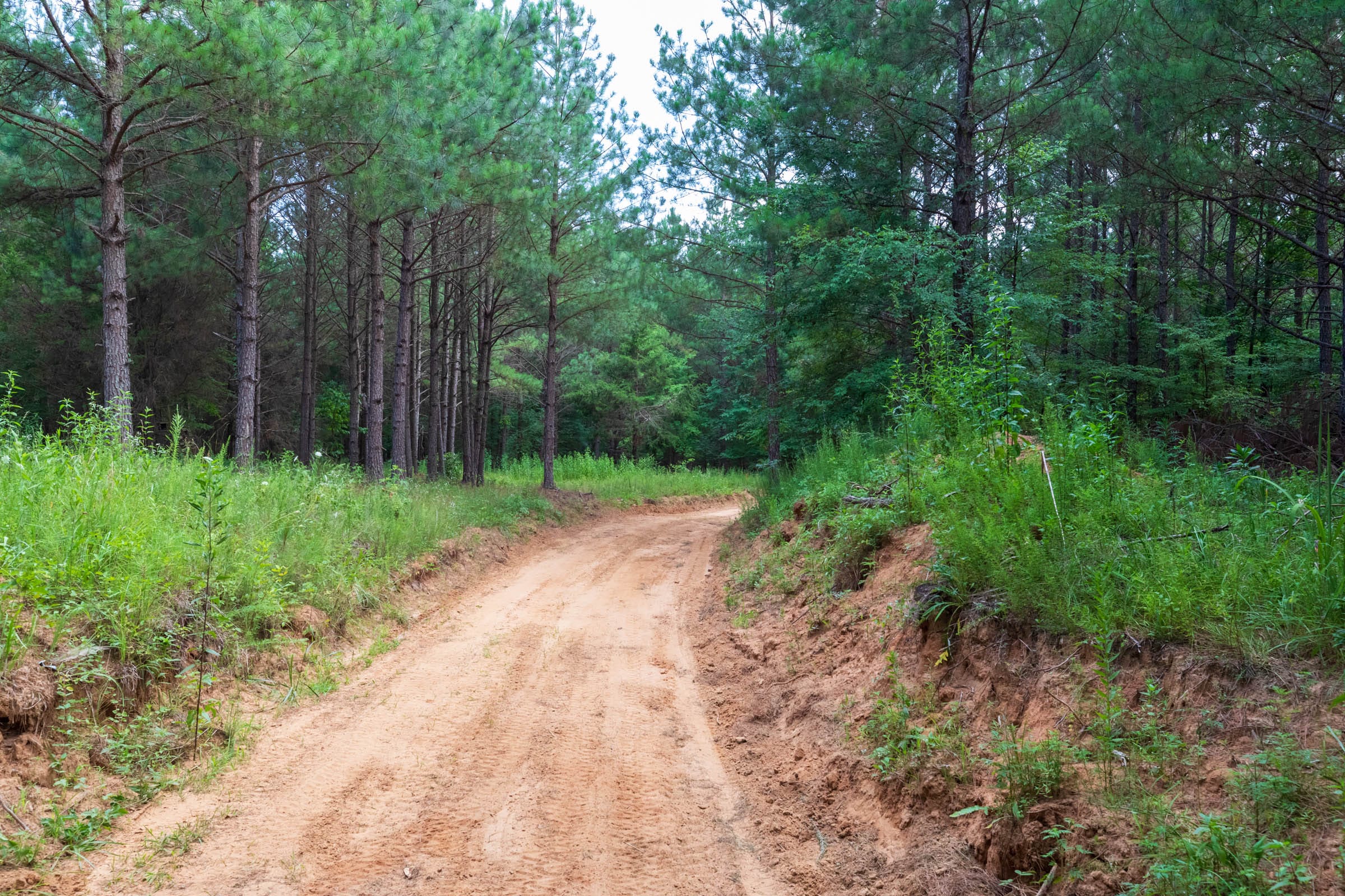 Whiskey Ridge Tract 60 photo 2