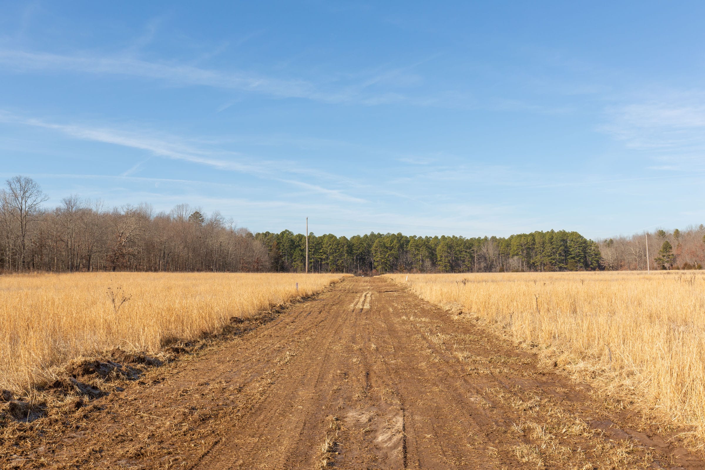 O’Connor Crossing Tract 33 photo 17