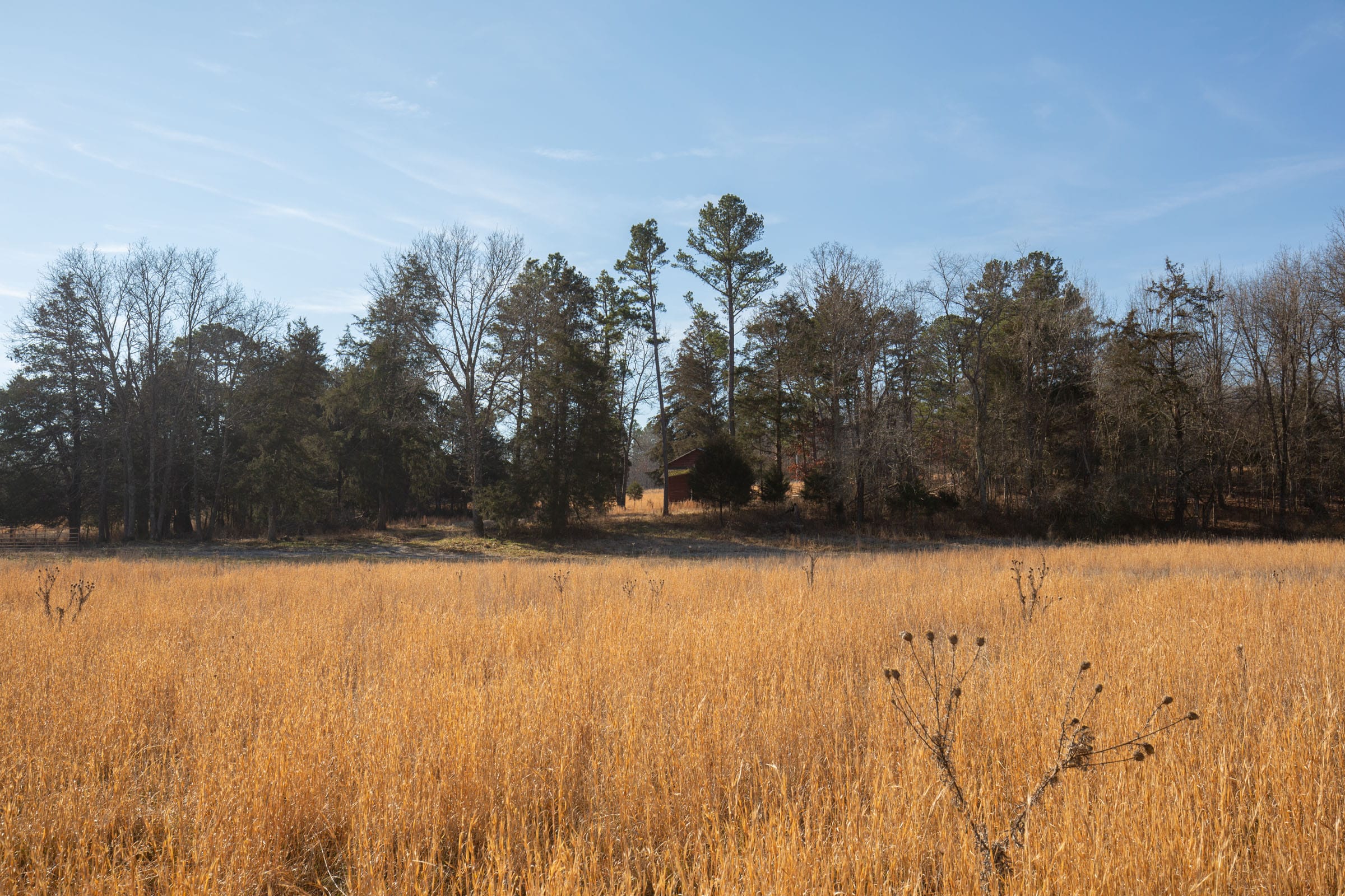 O’Connor Crossing Tract 33 photo 6