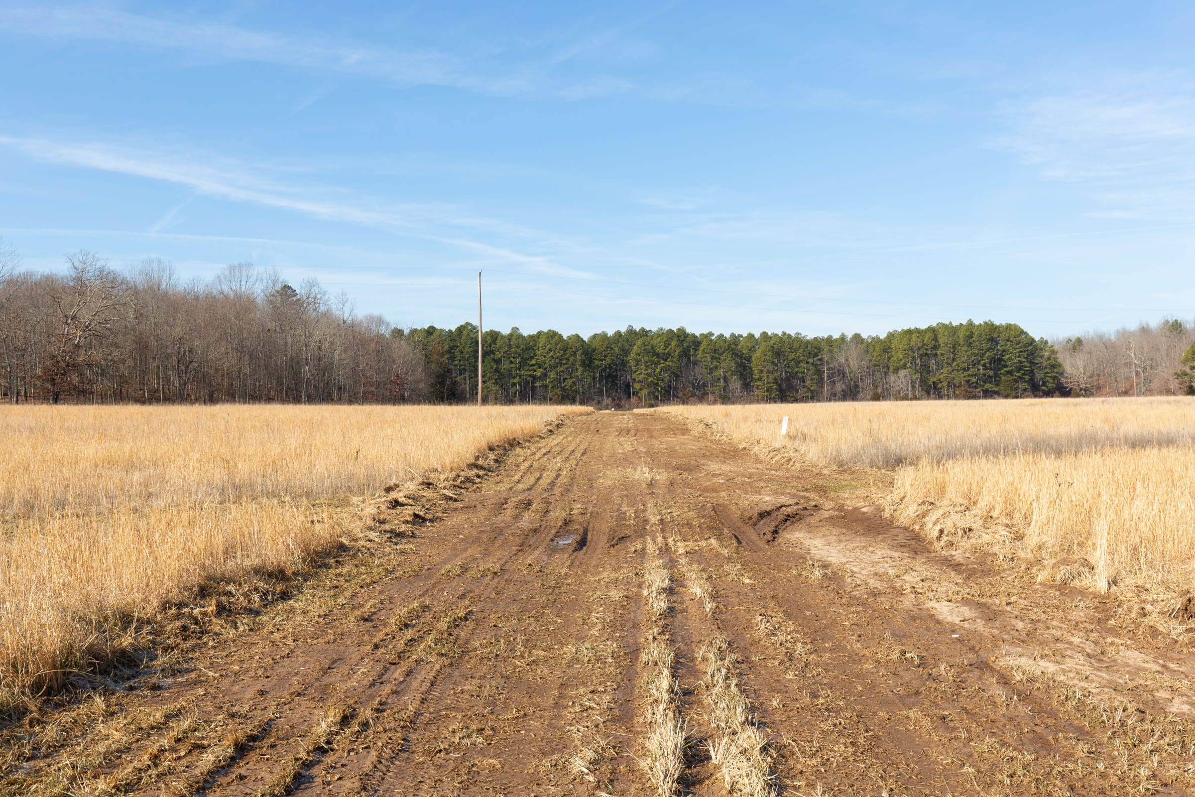 O’Connor Crossing Tract 33 photo 9