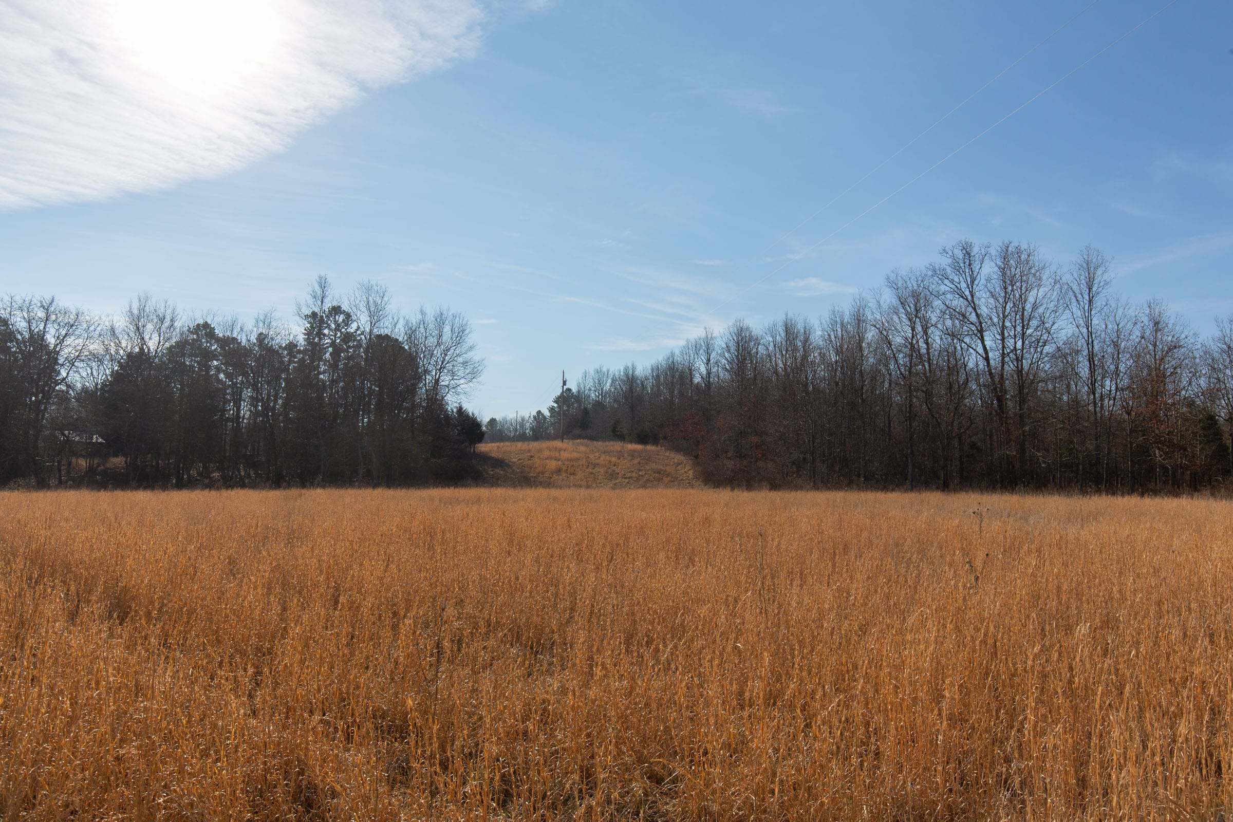 O’Connor Crossing Tract 33 photo 16