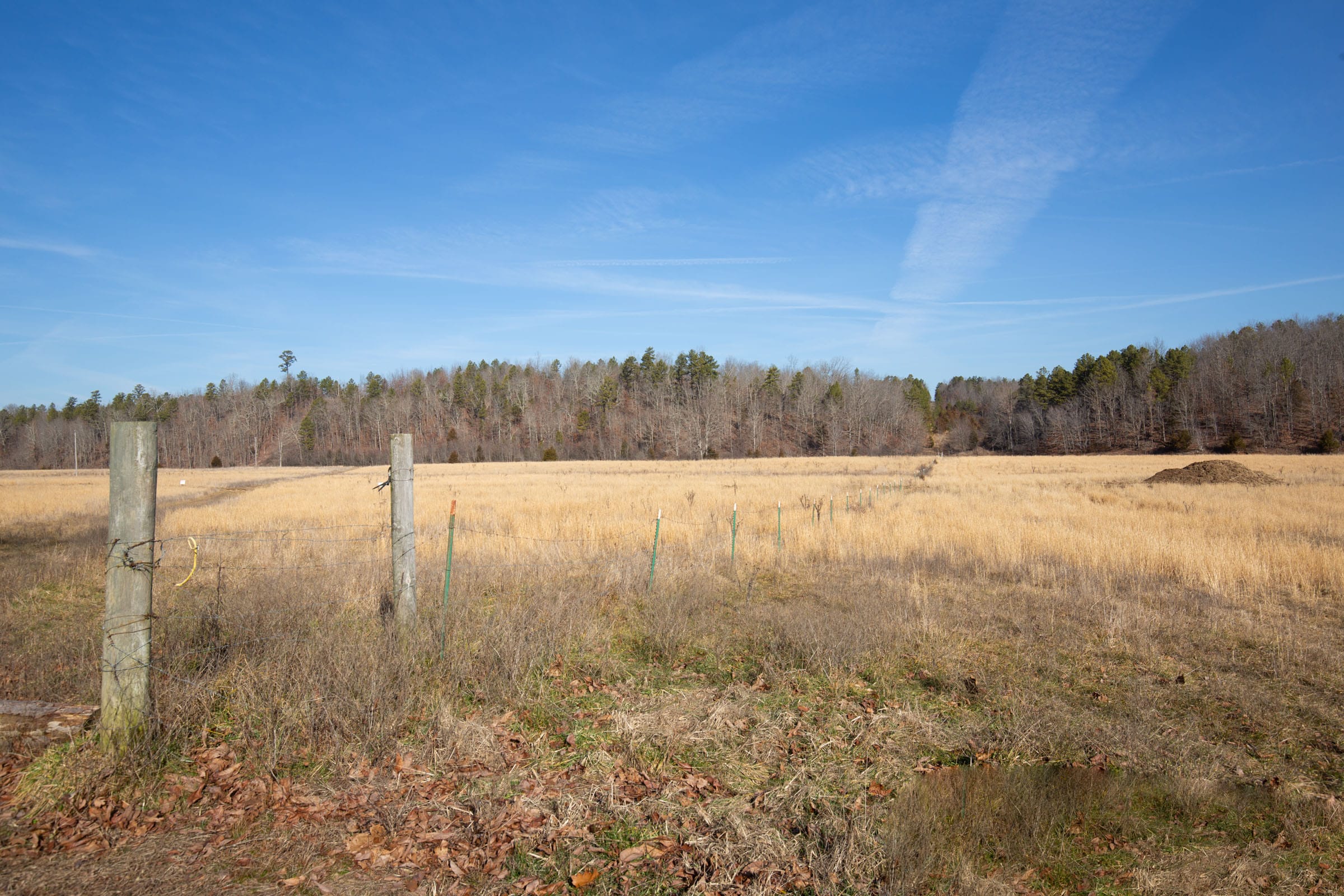 O’Connor Crossing Tract 33 photo 11