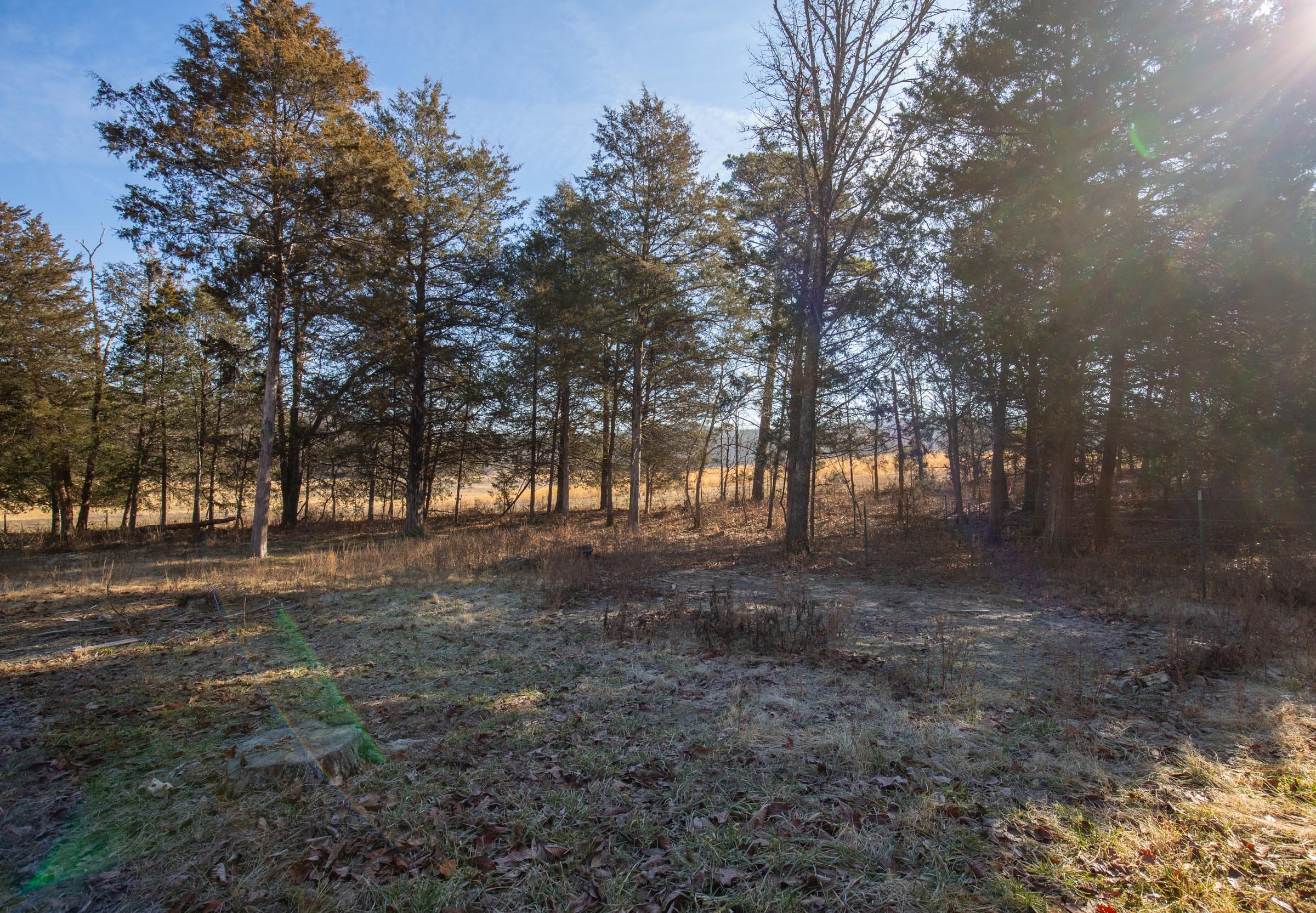 O’Connor Crossing Tract 33 photo 21