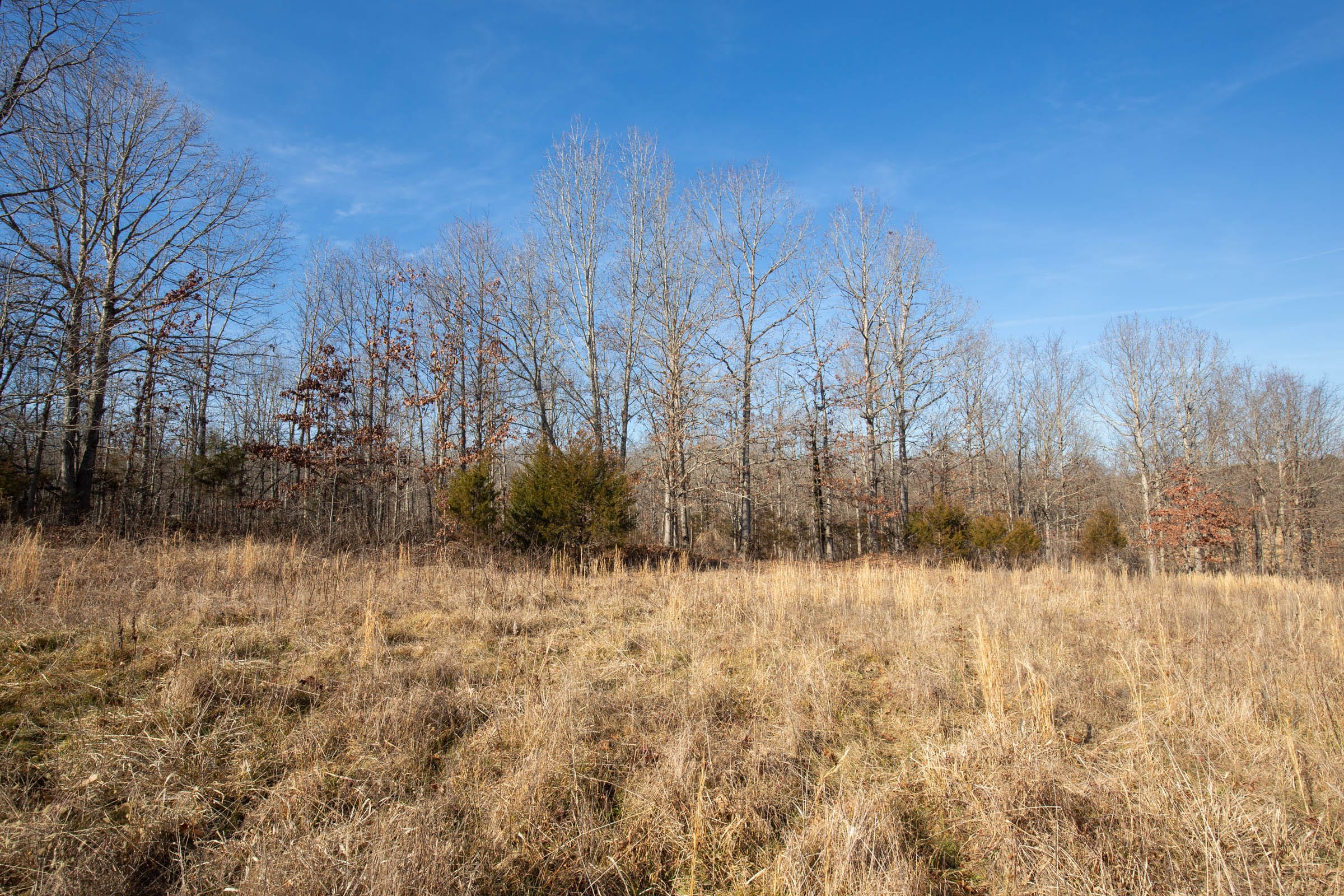 O’Connor Crossing Tract 33 photo 20