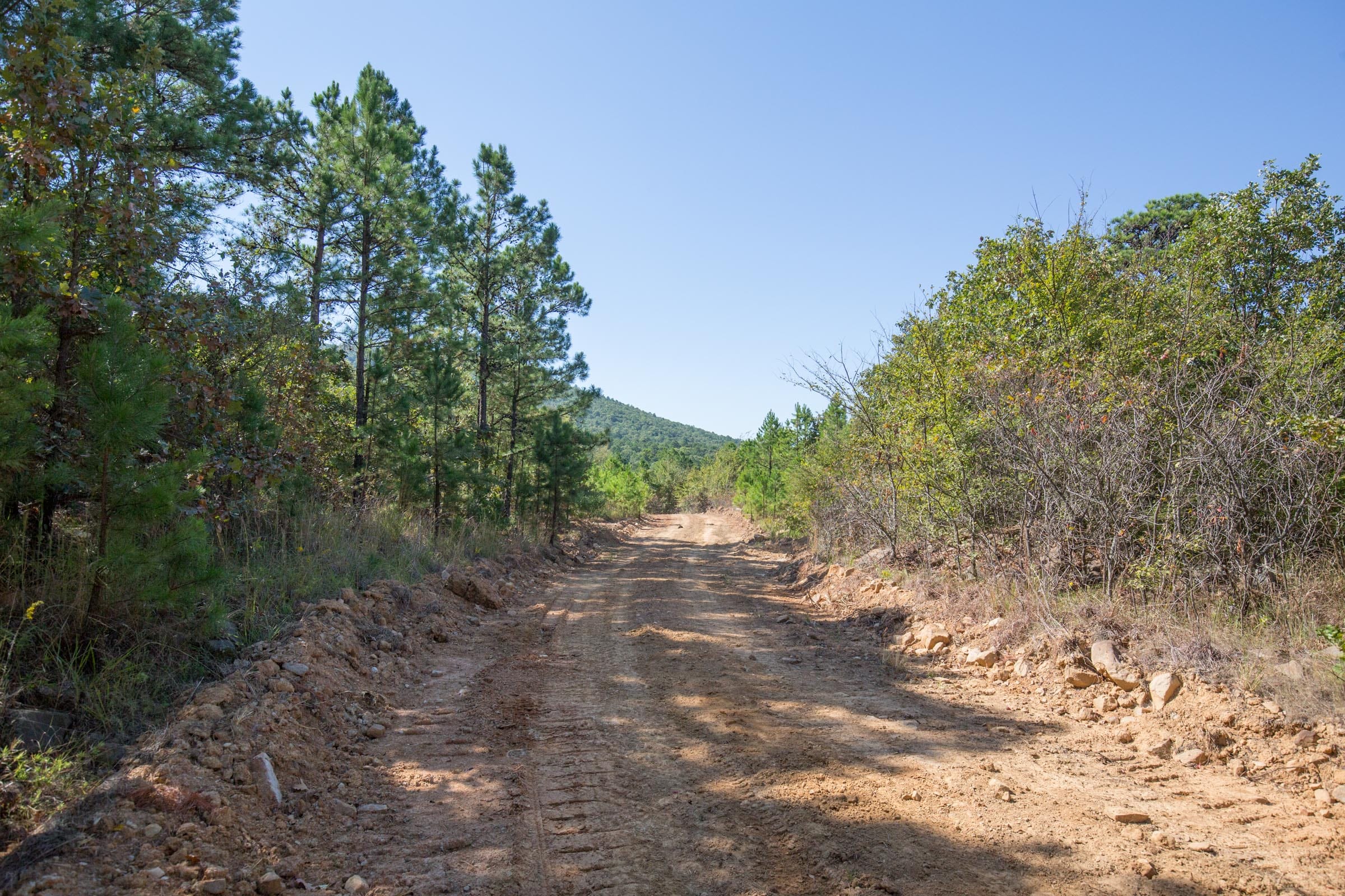 Stone Bridge Phase I Tract 70 photo 1
