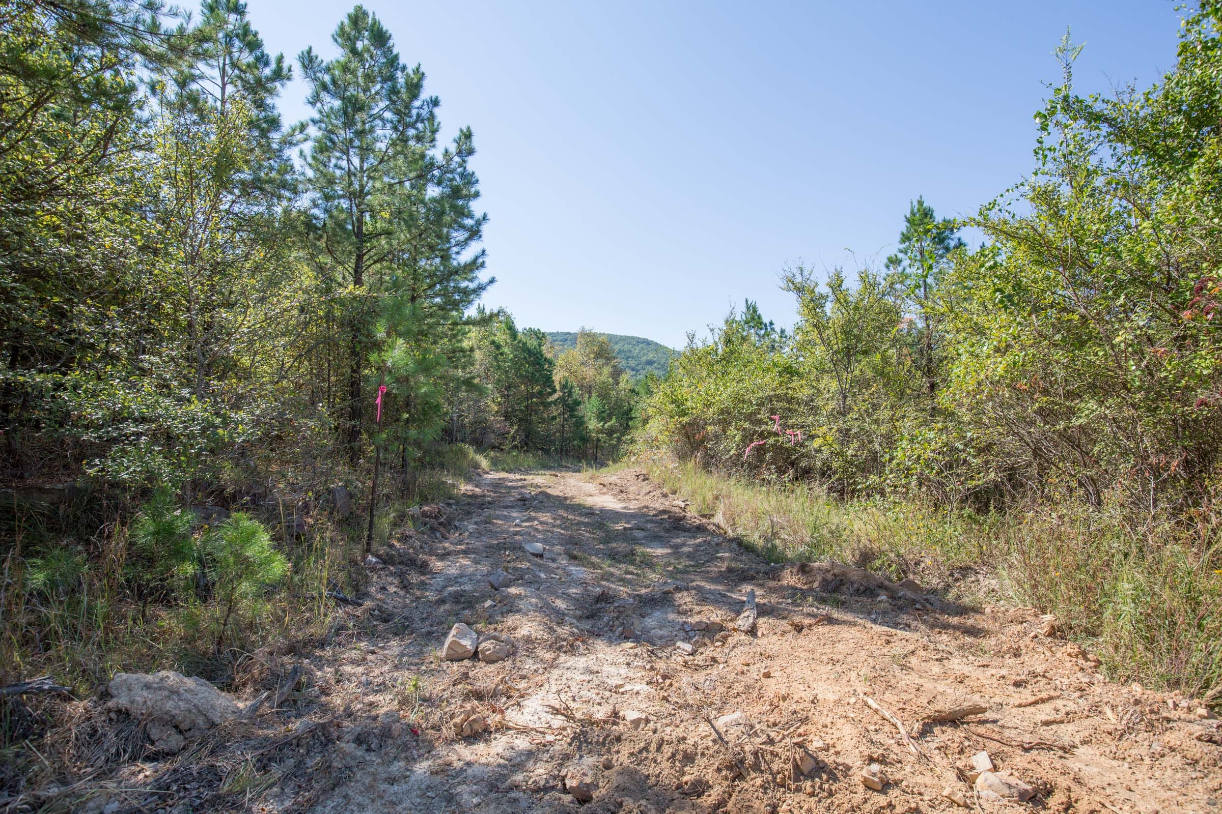 Stone Bridge Phase I Tract 70 photo 9