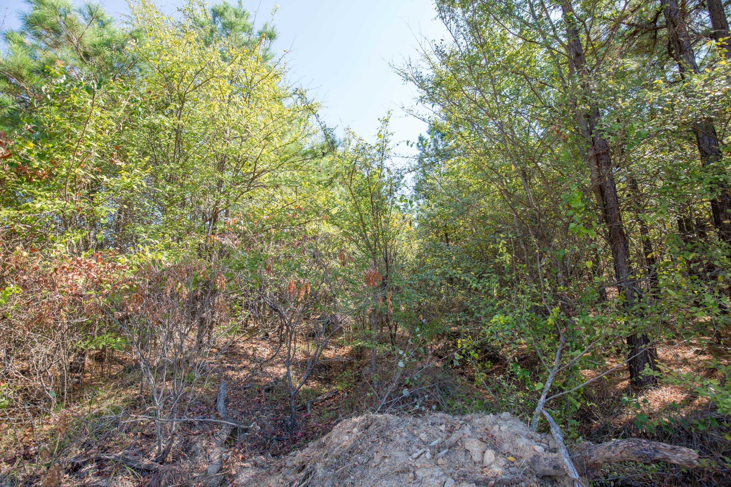 Stone Bridge Phase I Tract 70 photo 10