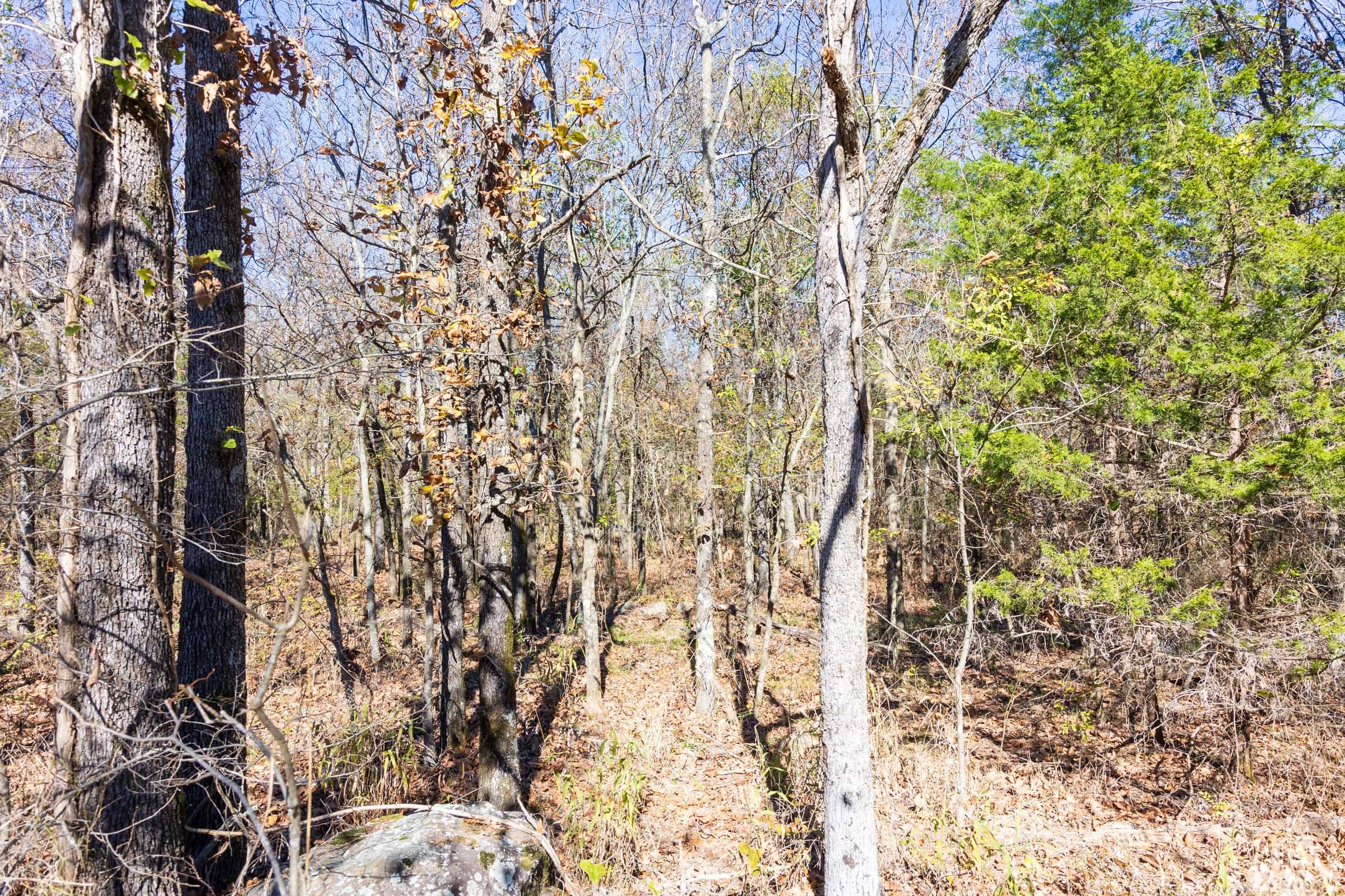 Stone Bridge Reserve Tract 11 photo 7