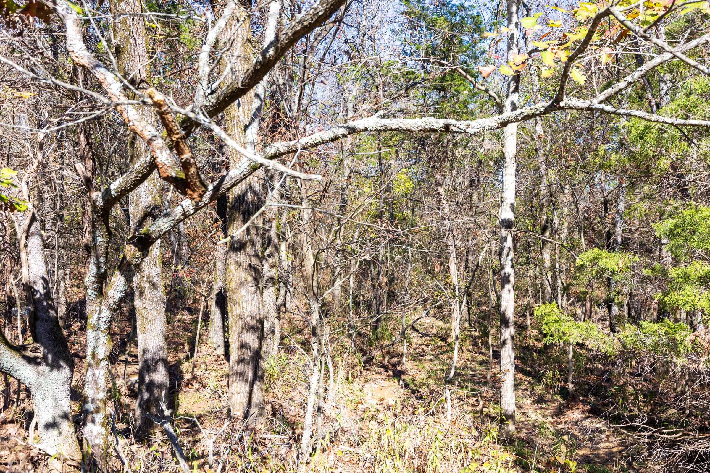 Stone Bridge Reserve Tract 11 photo 5