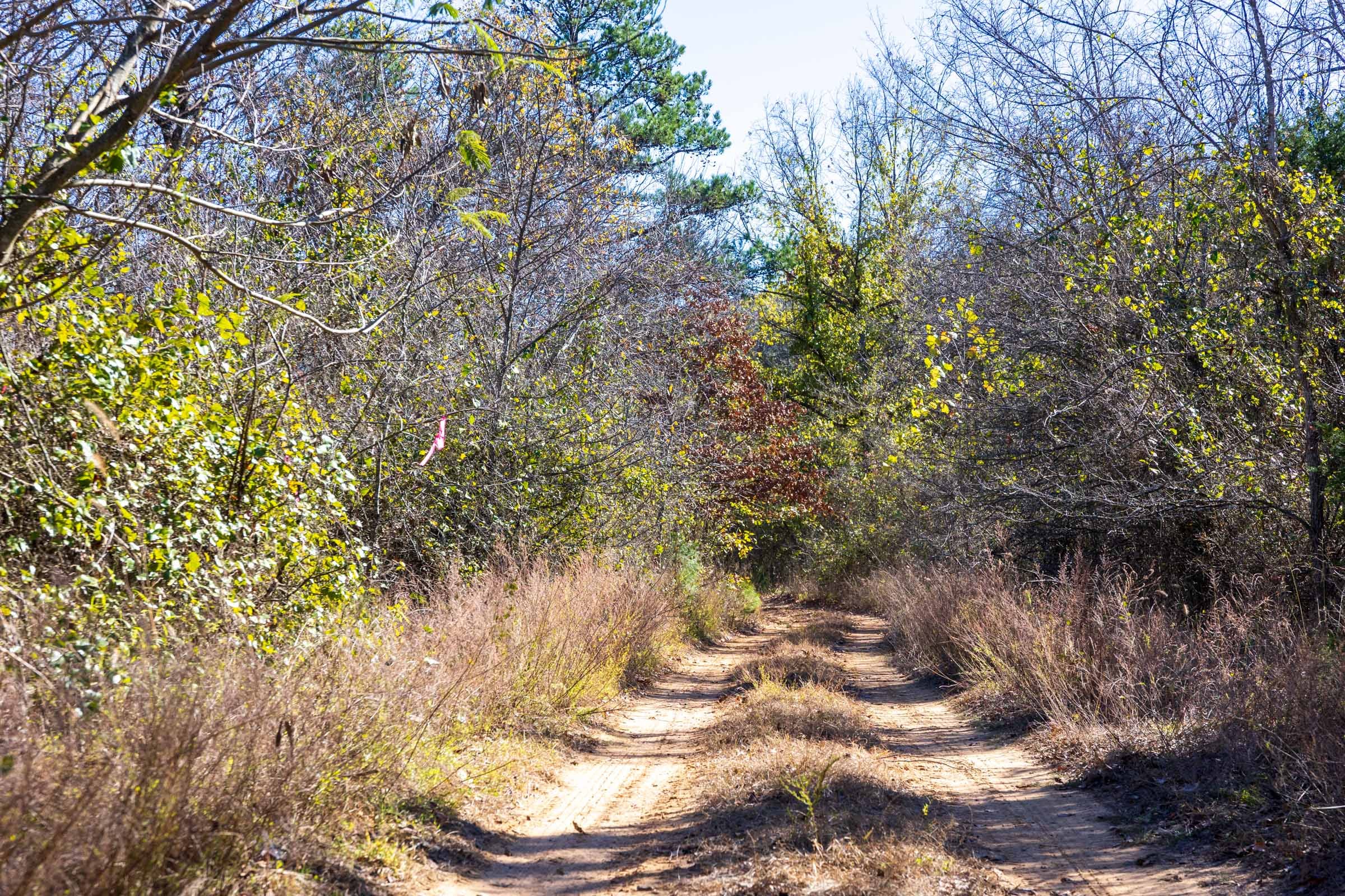 Stone Bridge Reserve Tract 11 photo 1
