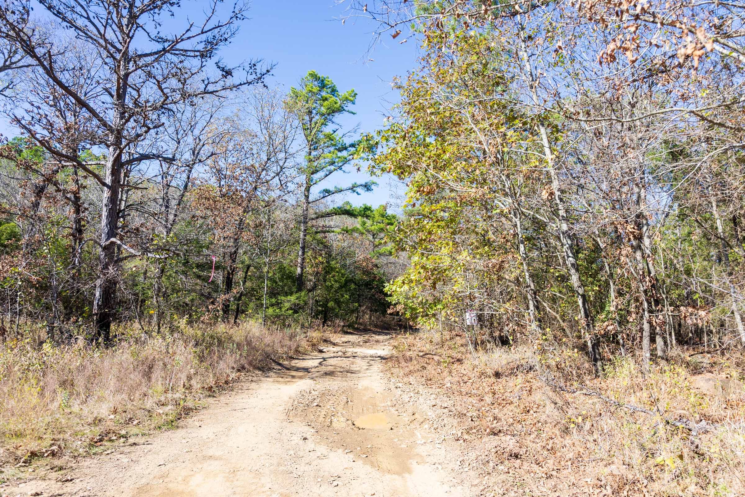 Stone Bridge Reserve Tract 11 photo 4