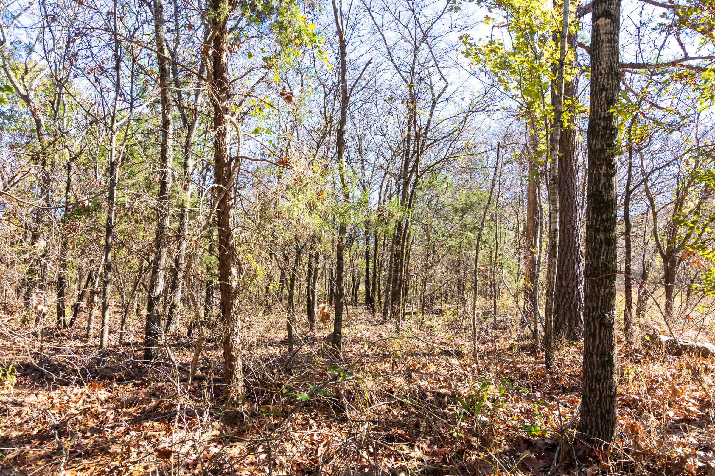 Stone Bridge Reserve Tract 11 photo 2