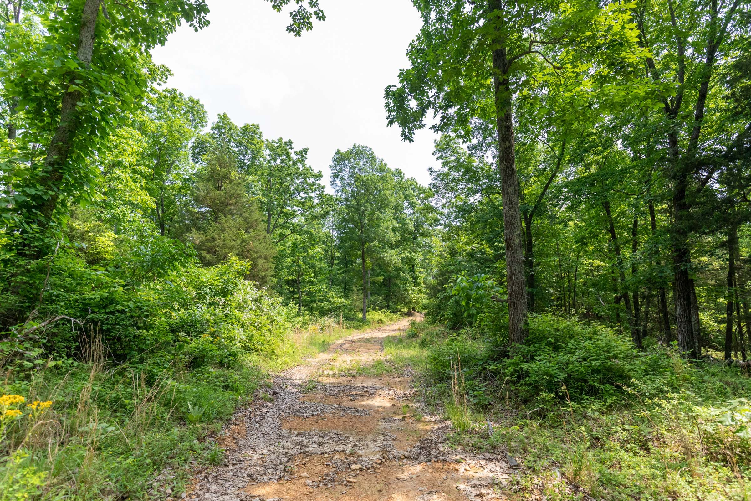 Cedar Creek Tract 6 photo 1