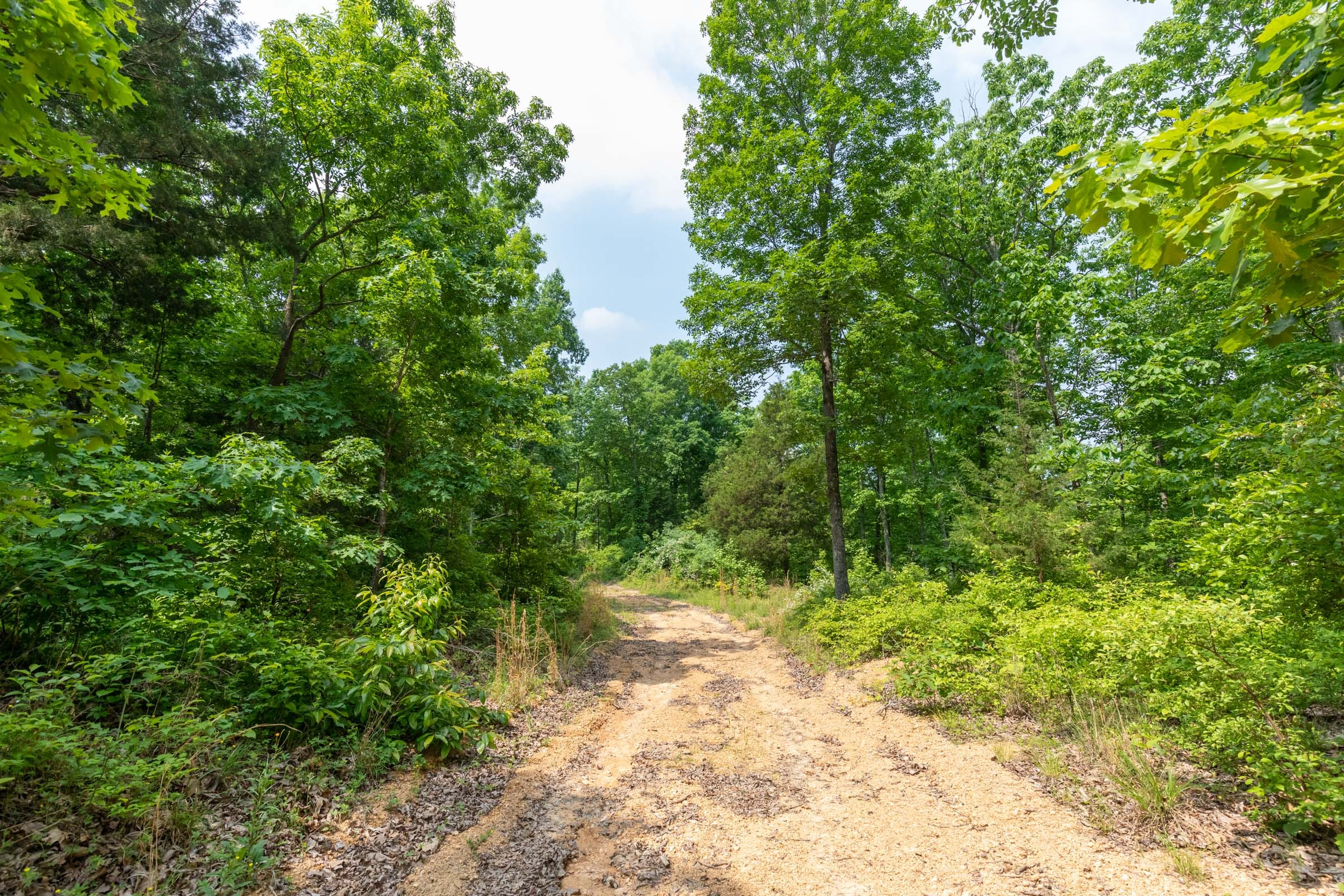 Cedar Creek Tract 6 photo 5
