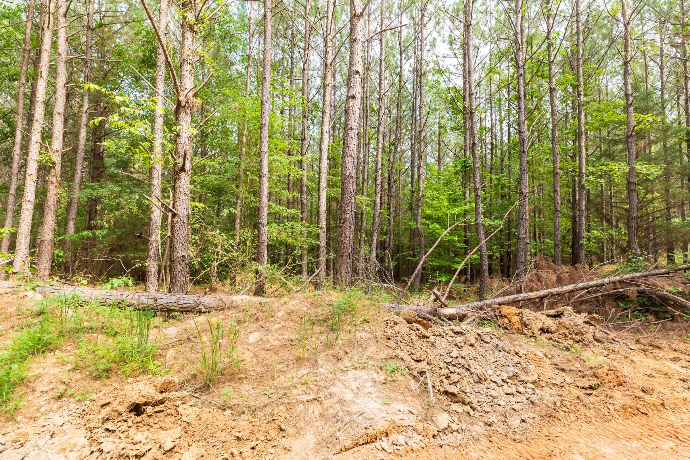 Whiskey Ridge Tract 14 photo 2