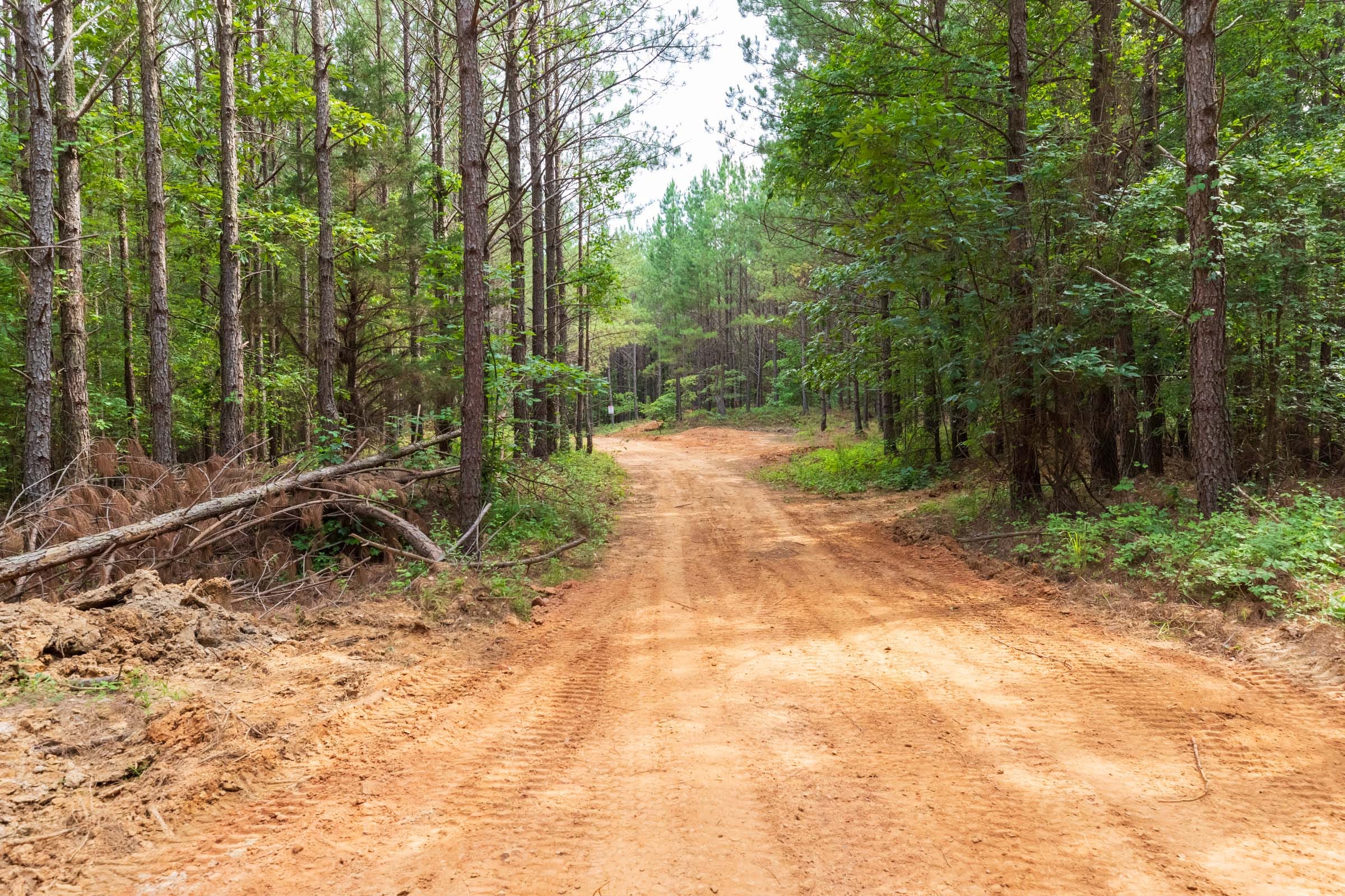 Whiskey Ridge Tract 14 photo 1