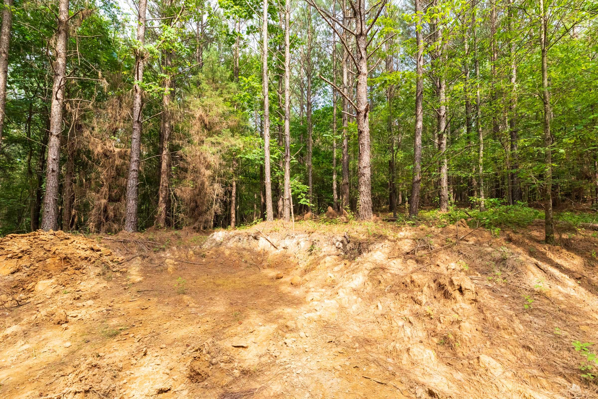 Whiskey Ridge Tract 14 photo 4