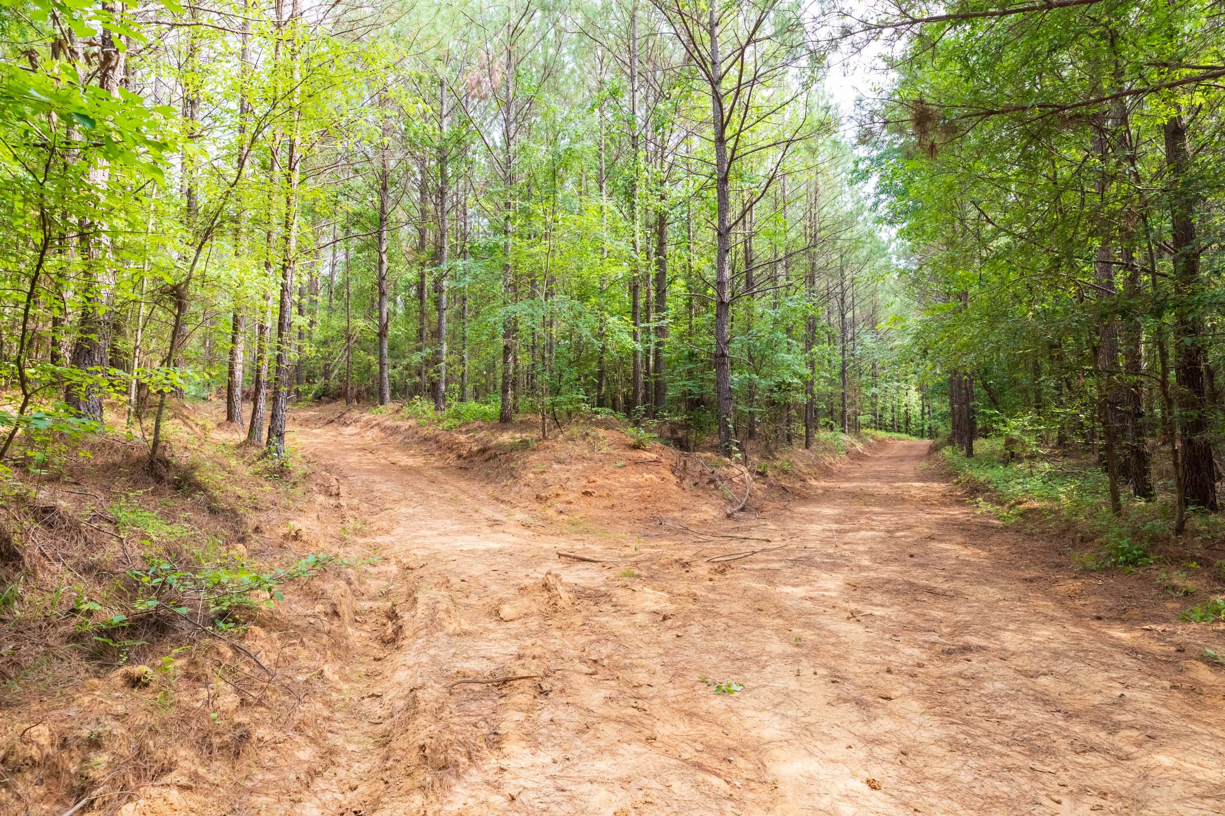 Whiskey Ridge Tract 14 photo 5