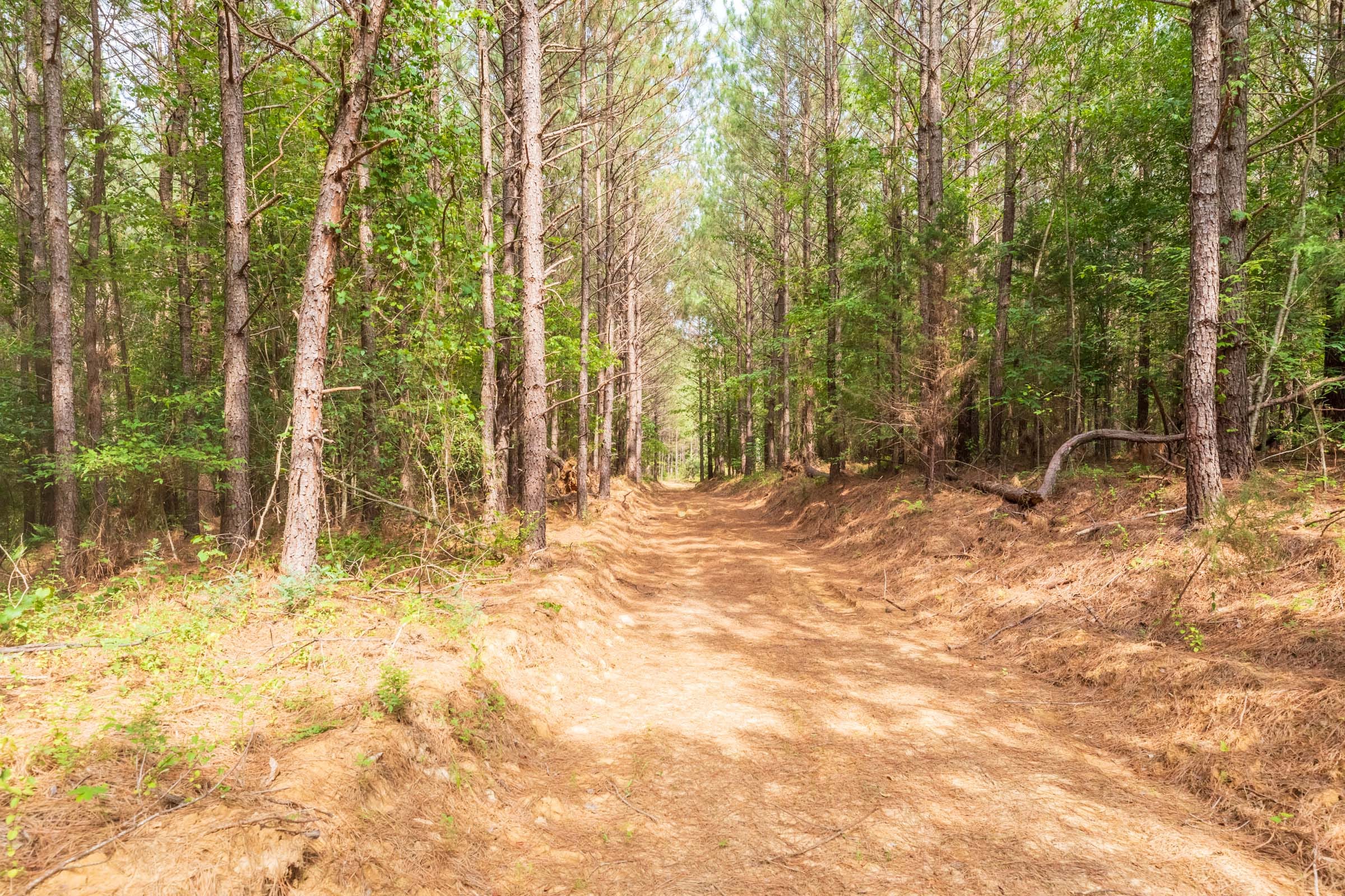 Whiskey Ridge Tract 14 photo 12
