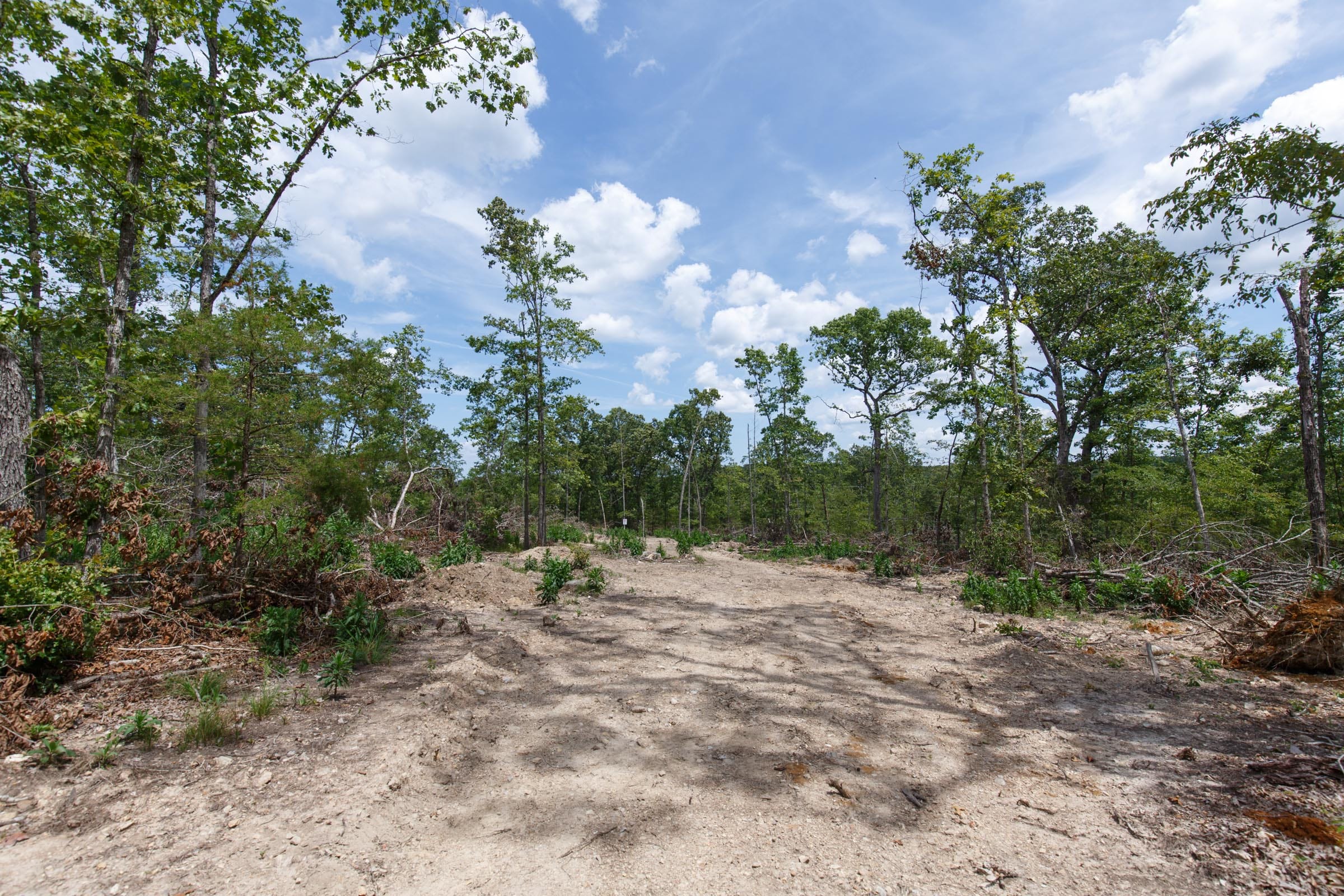Wildwood Tract 11 photo 5