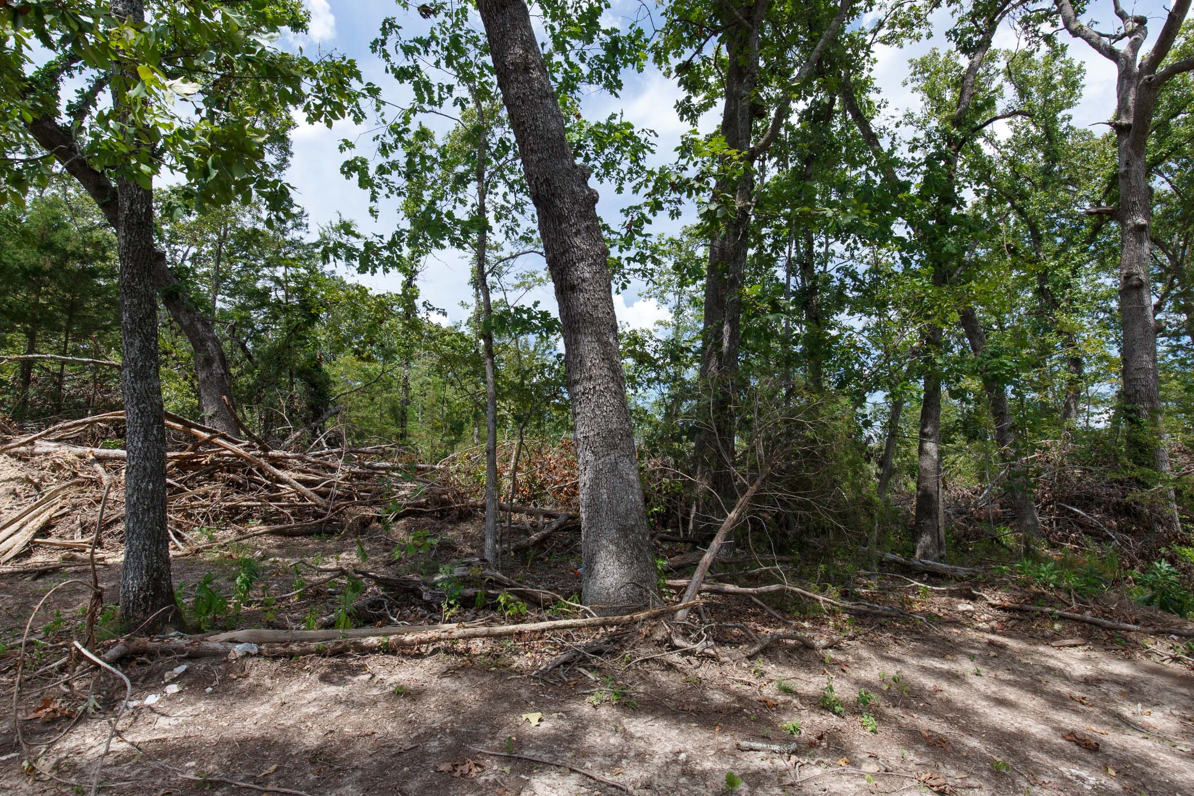 Wildwood Tract 11 photo 8