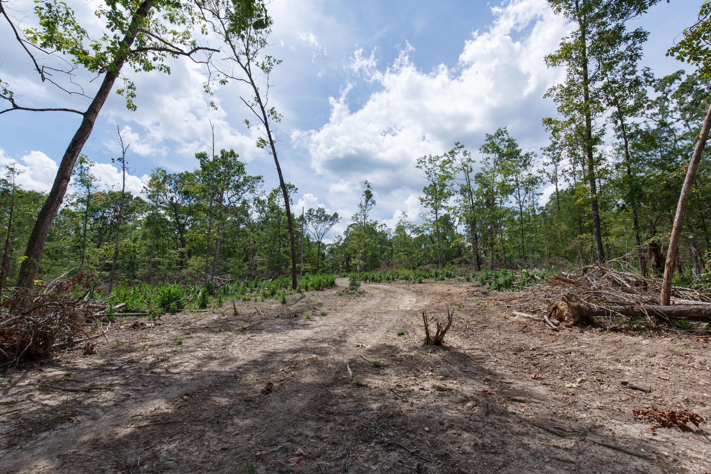 Wildwood Tract 11 photo 1