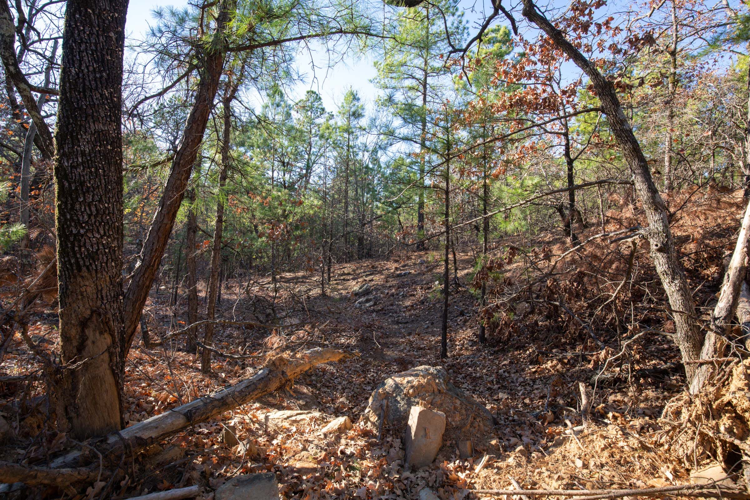 Stone Bridge Phase II Tract 84 photo 5