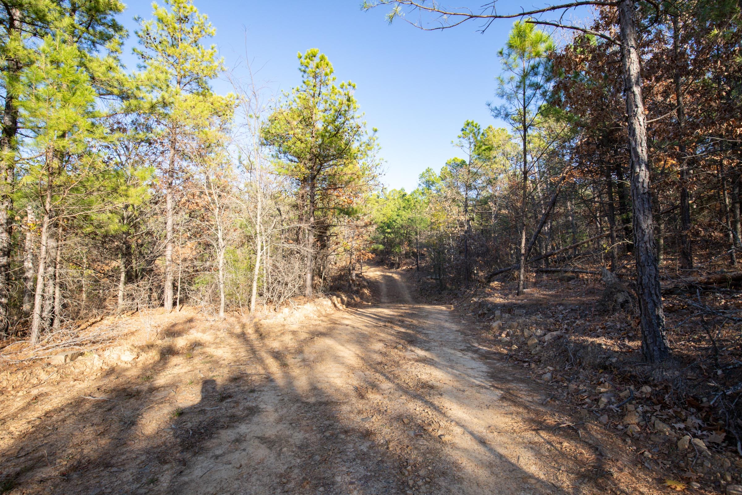 Stone Bridge Phase II Tract 84 photo 4