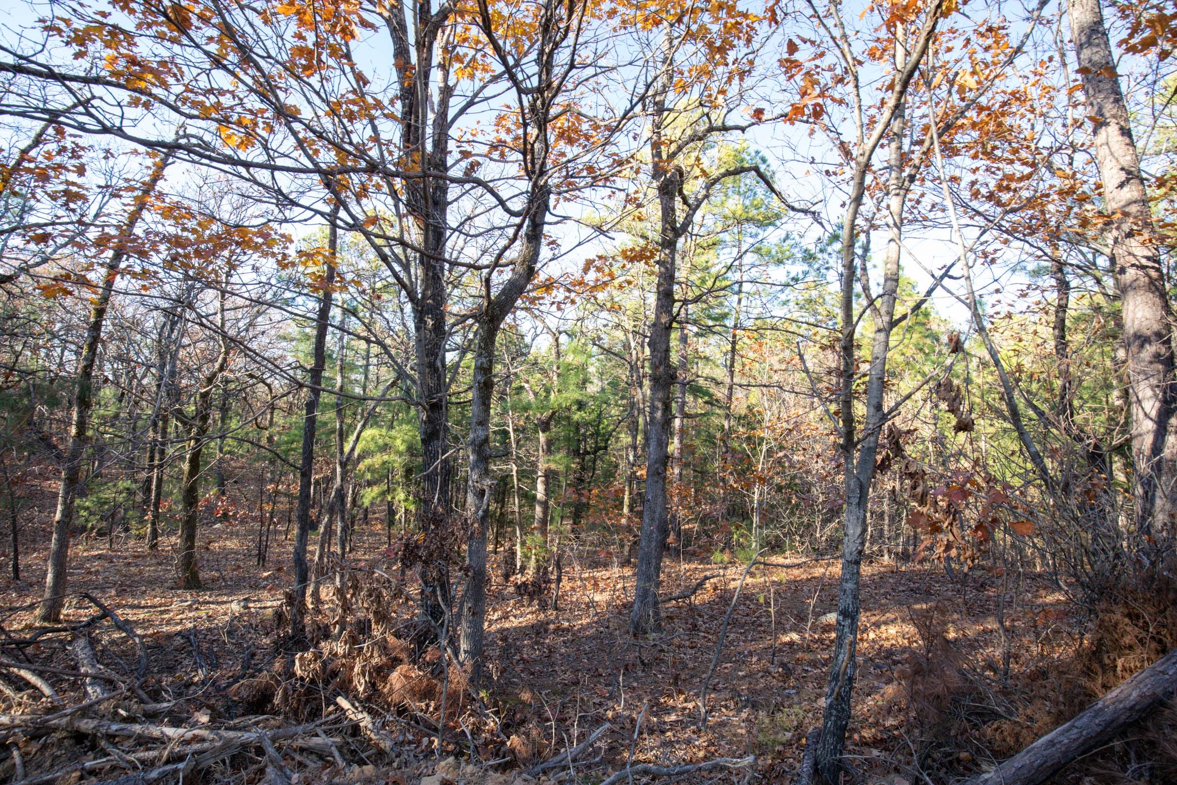 Stone Bridge Phase II Tract 84 photo 6