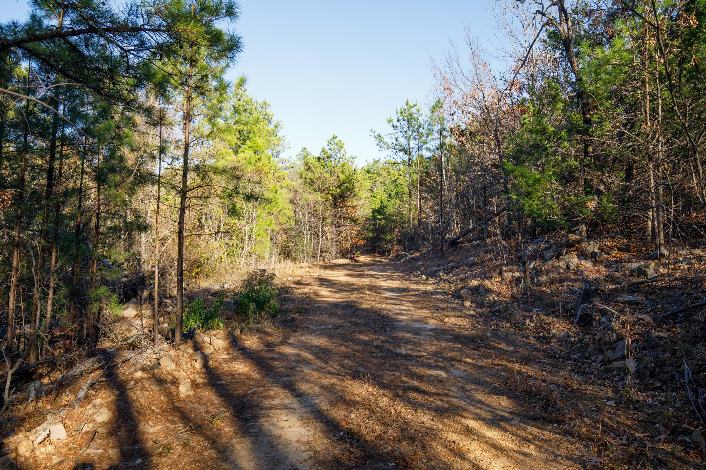 Stone Bridge Phase II Tract 84 photo 7