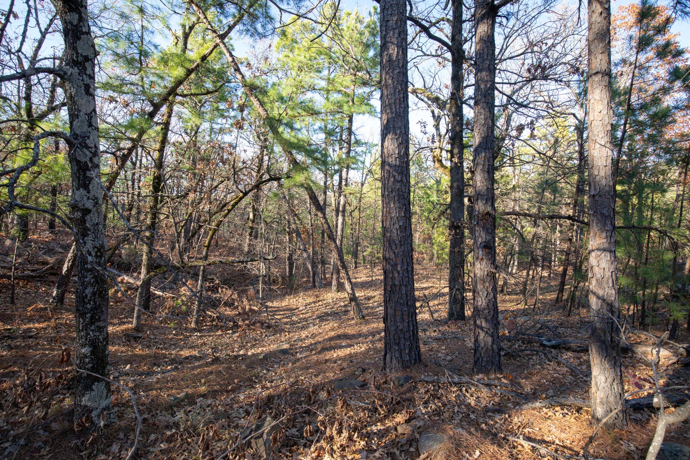 Stone Bridge Phase II Tract 84 photo 8