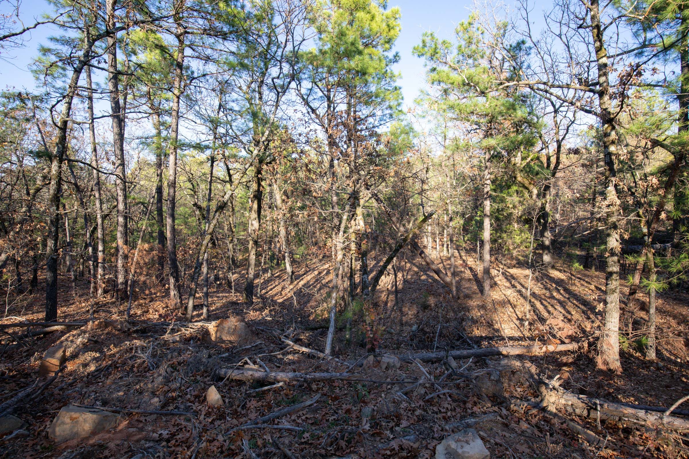 Stone Bridge Phase II Tract 84 photo 9