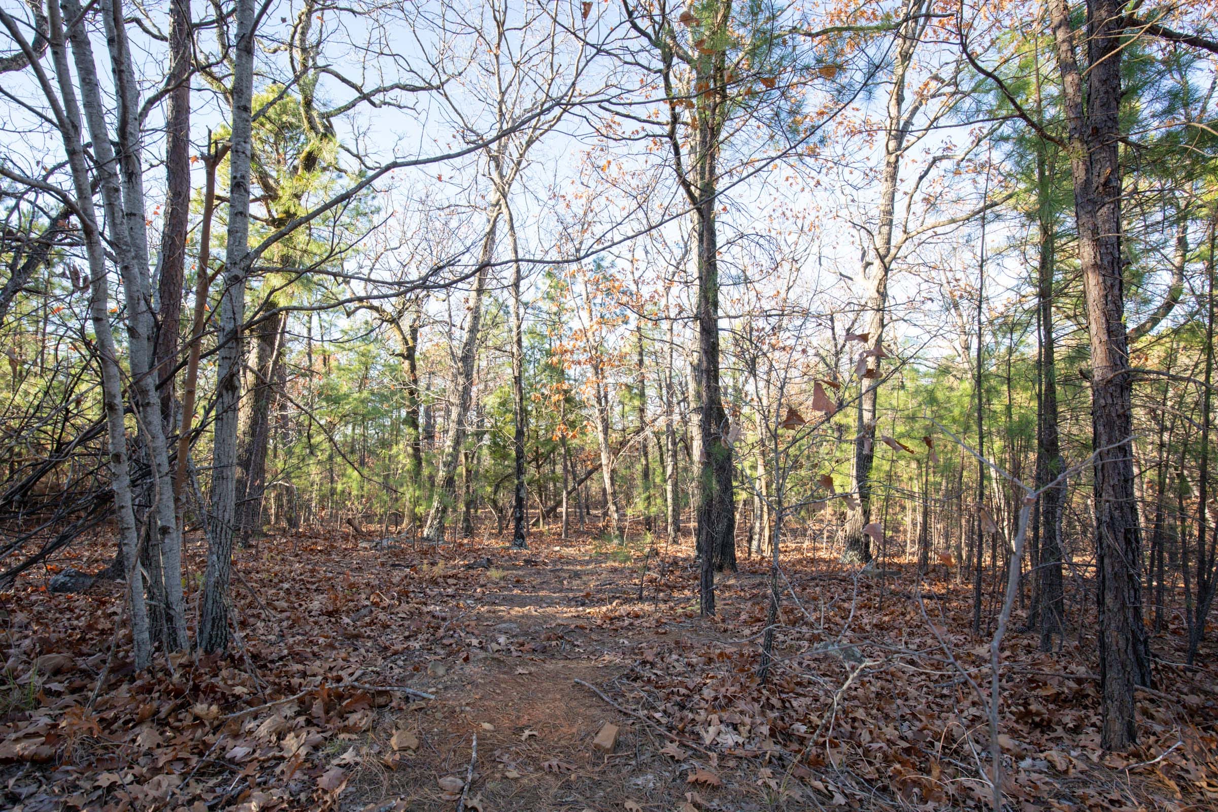 Stone Bridge Phase II Tract 84 photo 10