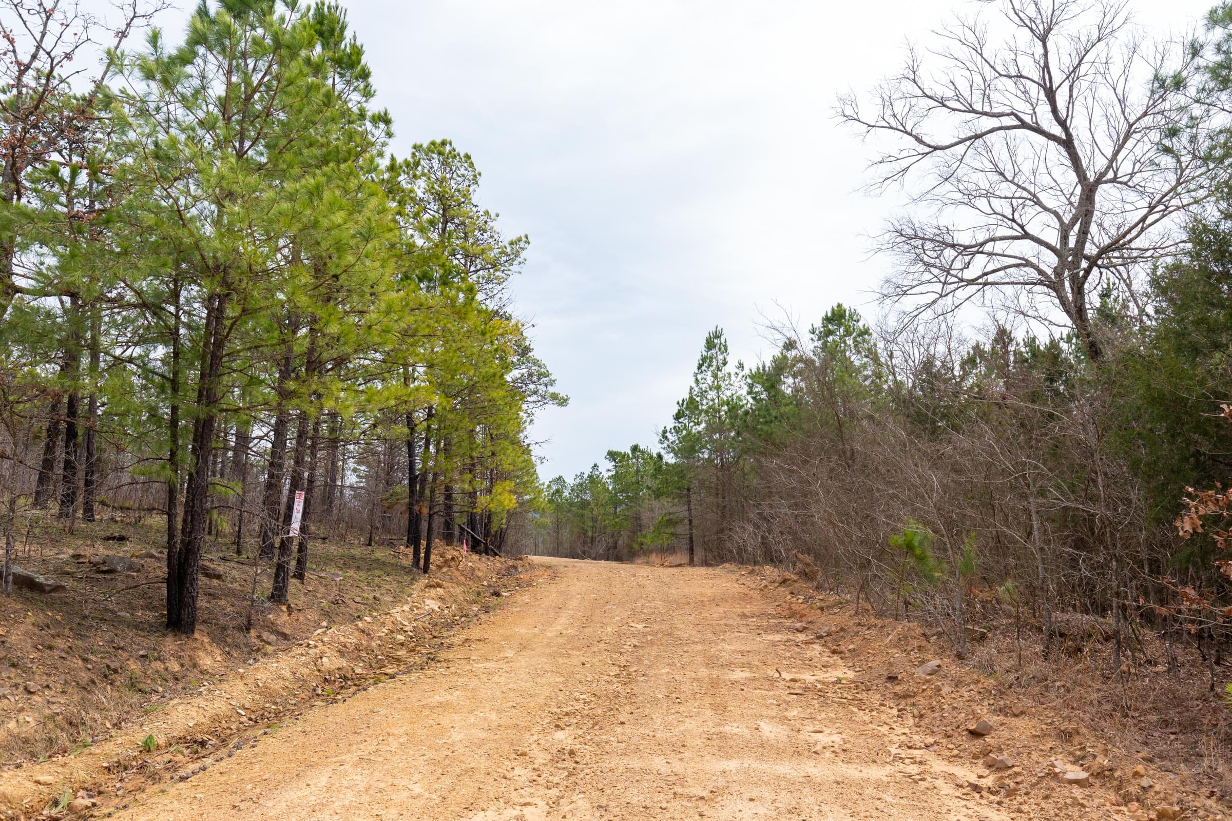 Stone Bridge Phase III Tract 143 photo 1