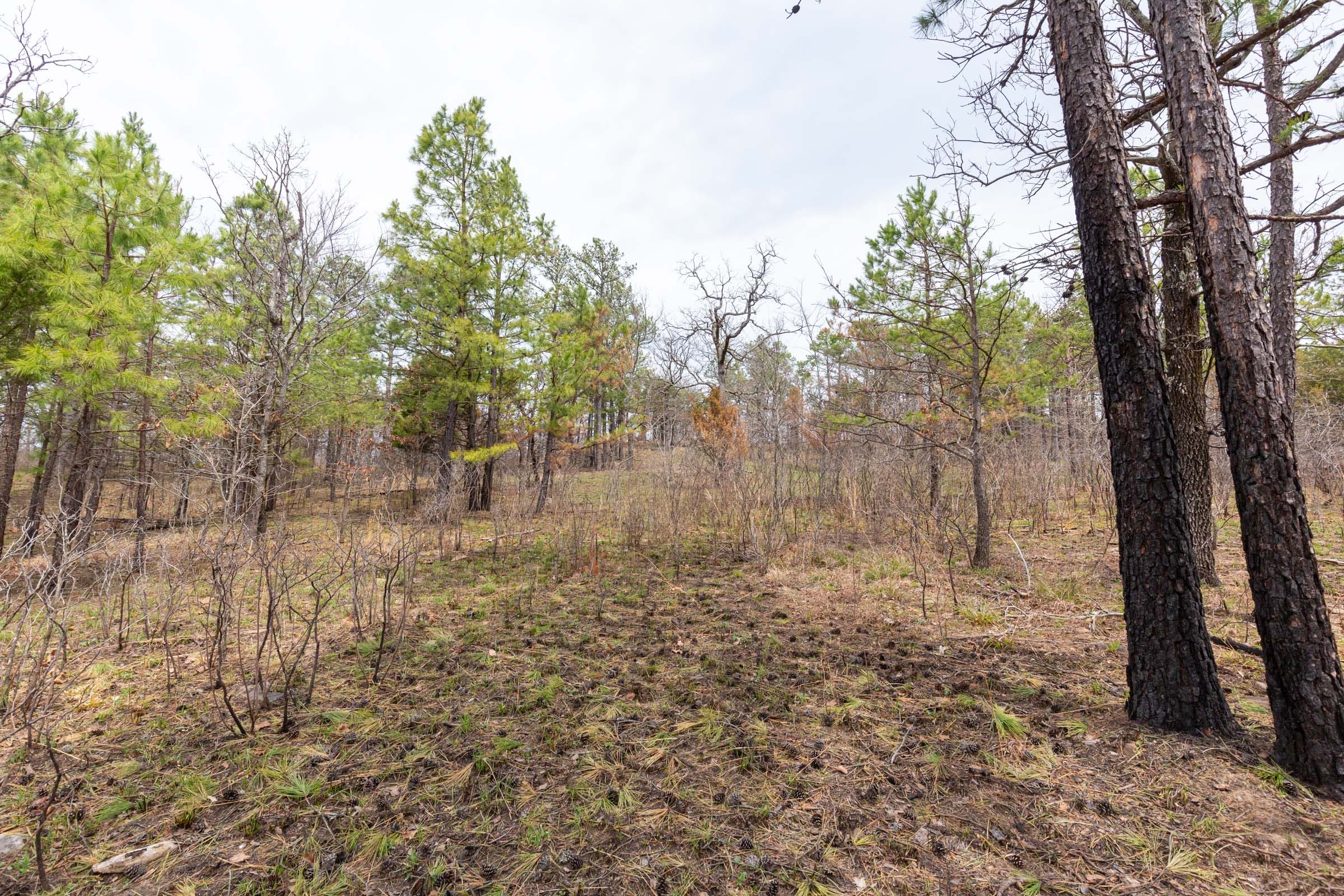 Stone Bridge Phase III Tract 143 photo 2