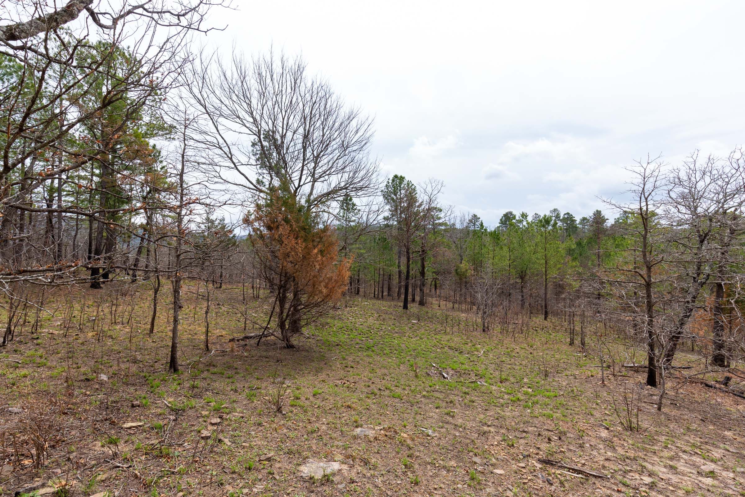 Stone Bridge Phase III Tract 143 photo 5