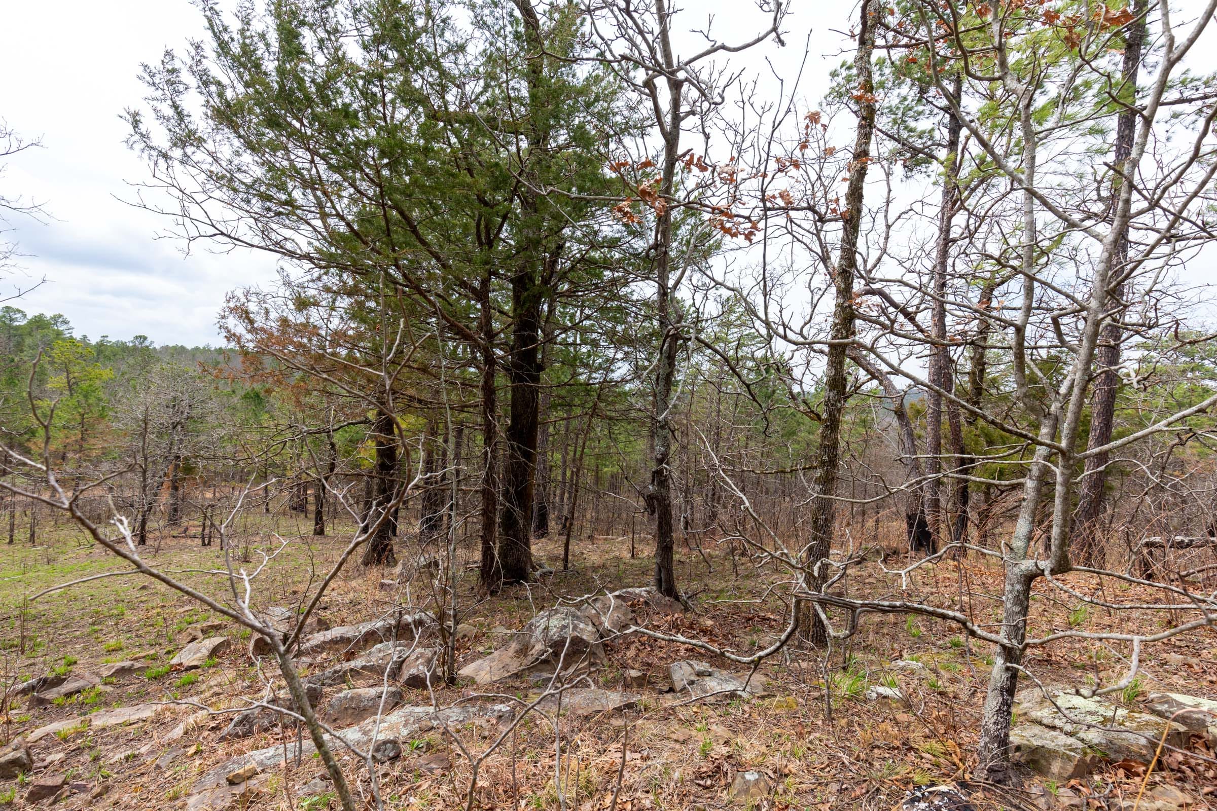 Stone Bridge Phase III Tract 143 photo 8