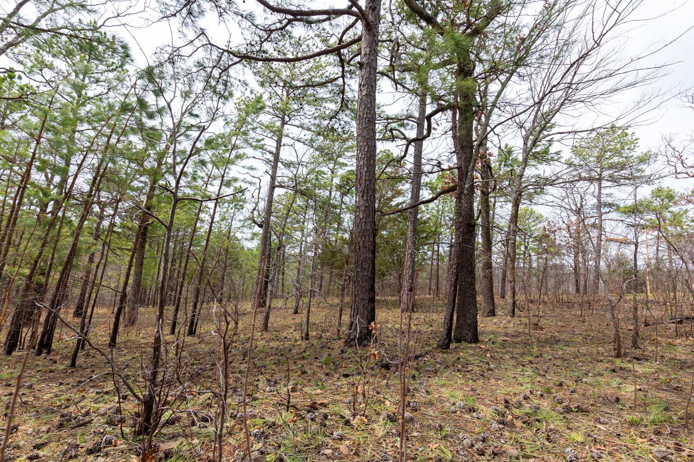 Stone Bridge Phase III Tract 143 photo 11
