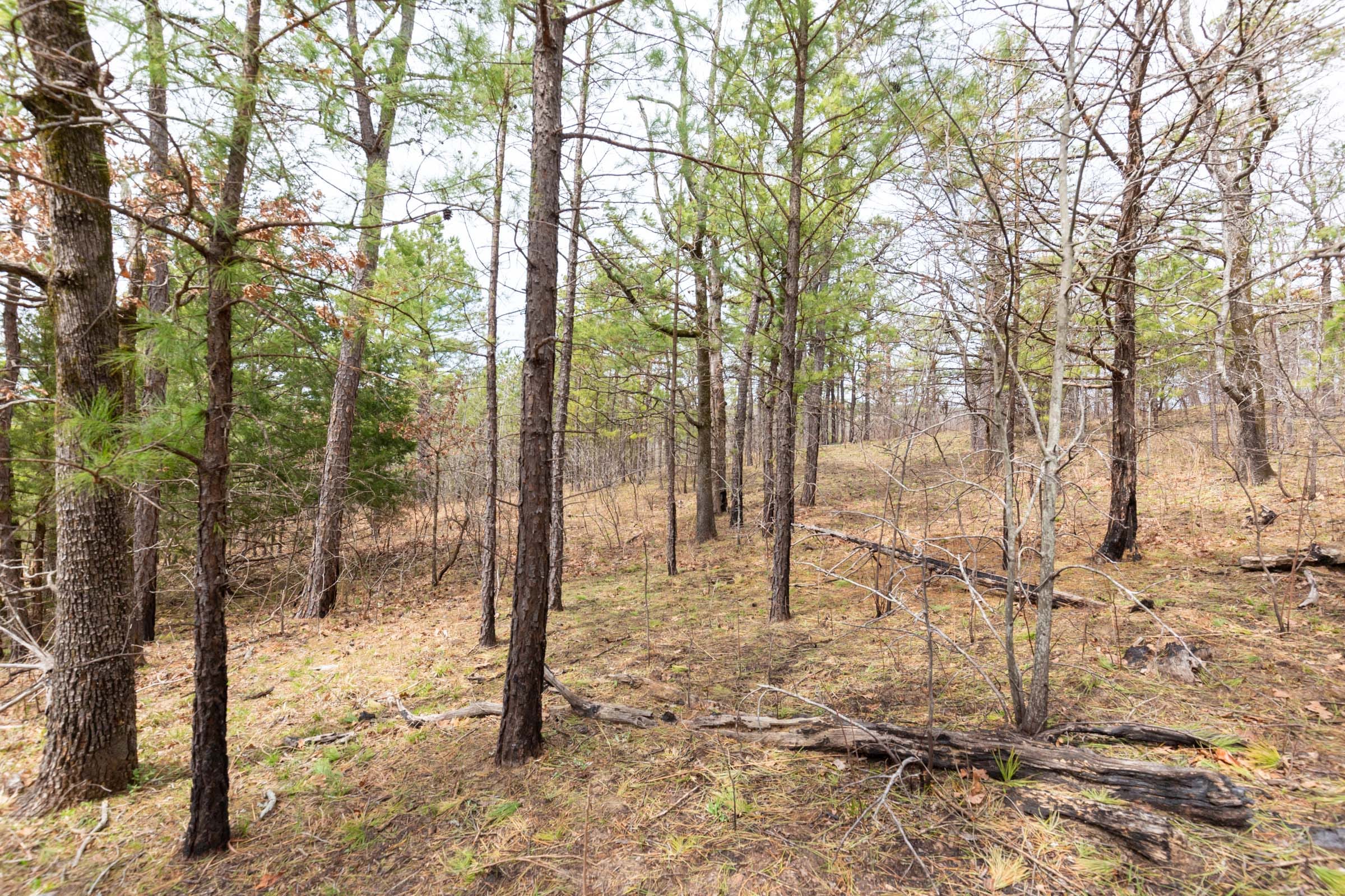 Stone Bridge Phase III Tract 143 photo 12
