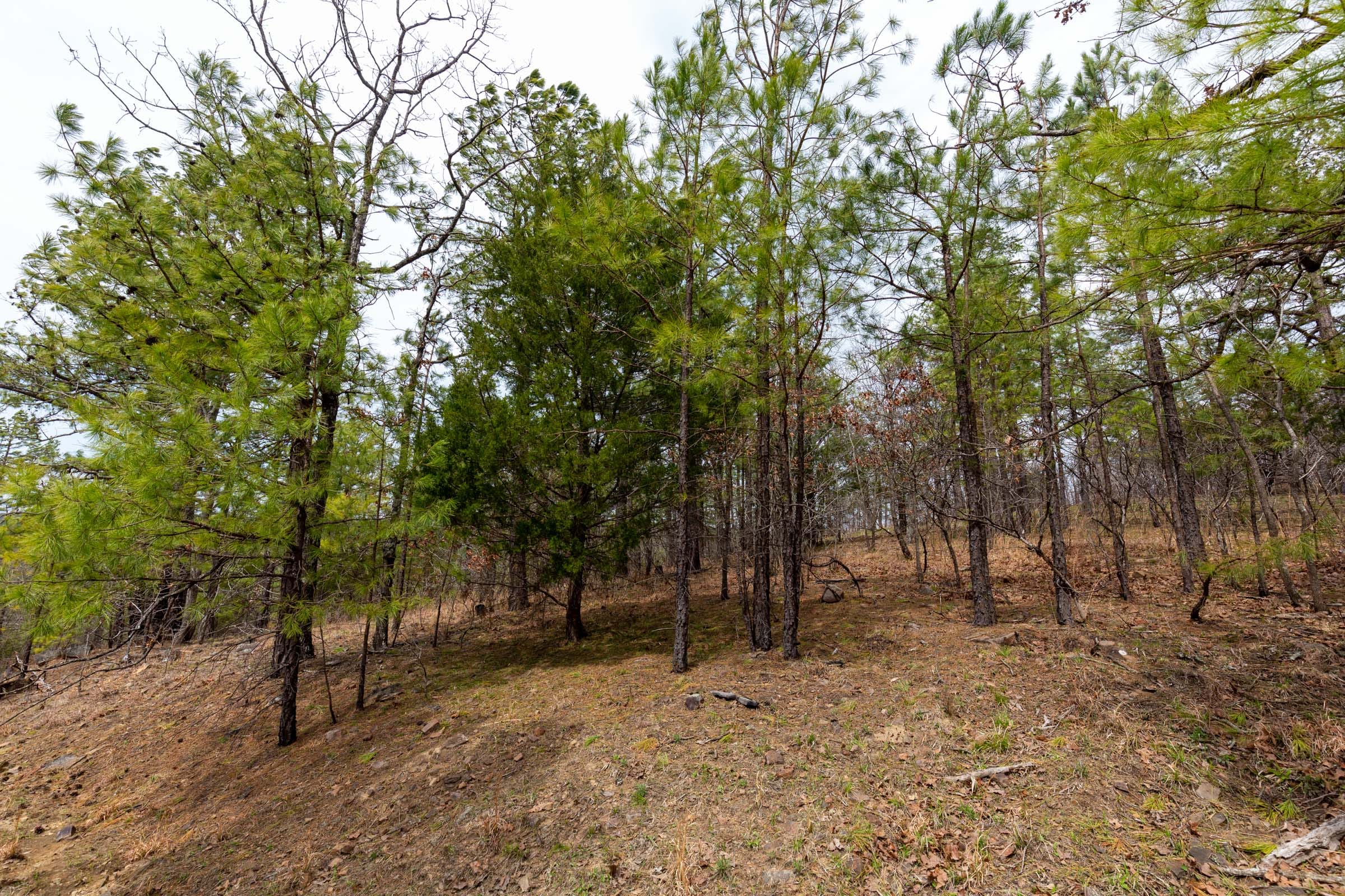 Stone Bridge Phase III Tract 143 photo 13