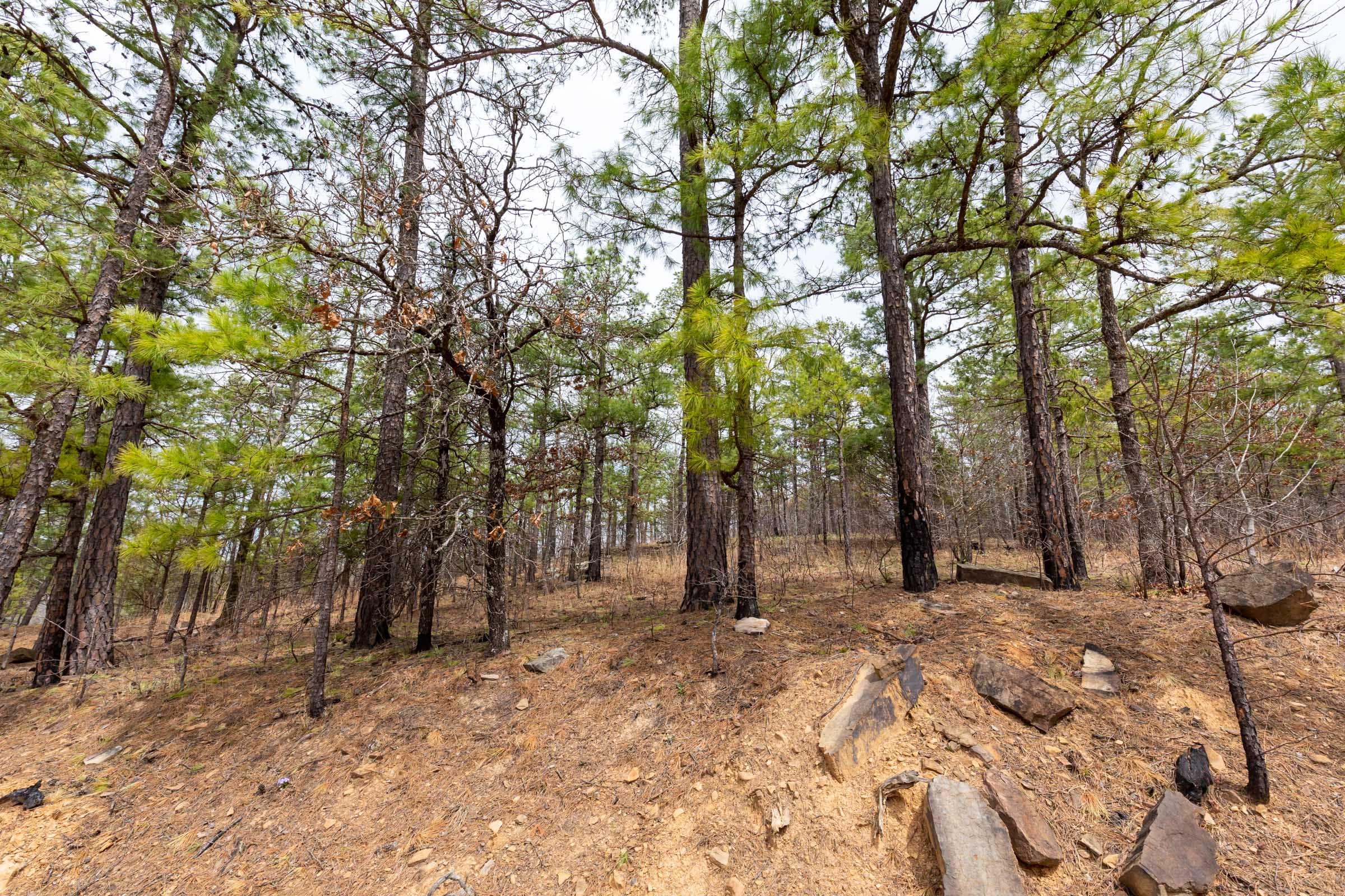 Stone Bridge Phase III Tract 143 photo 15