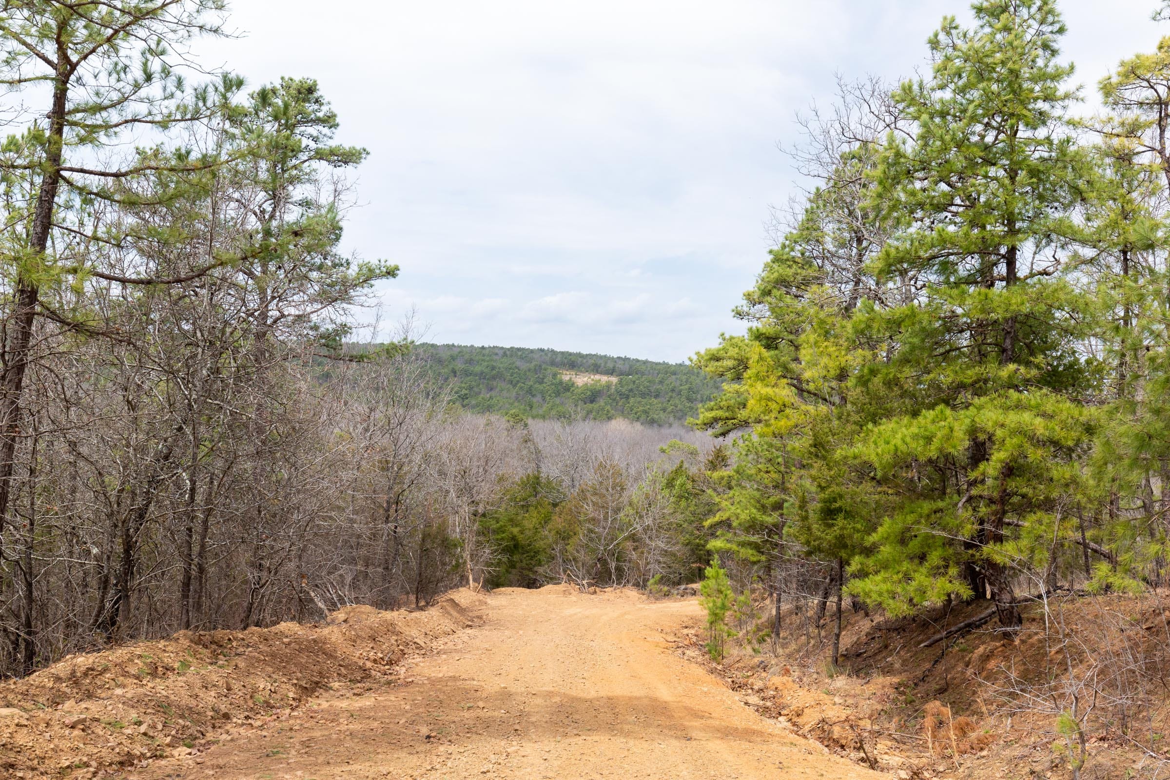 Stone Bridge Phase III Tract 143 photo 16