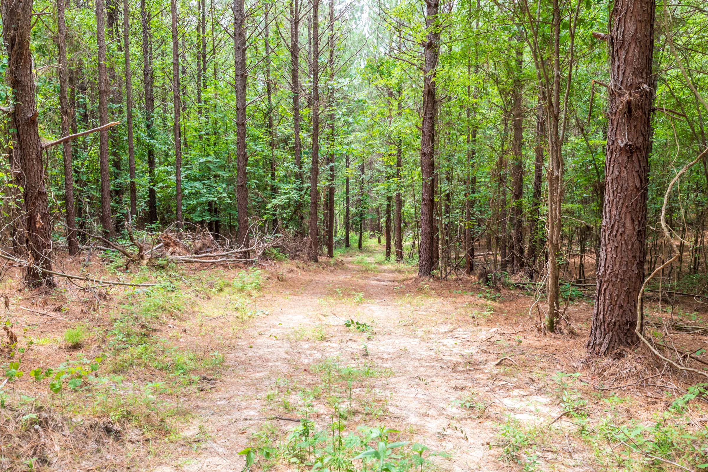 Whiskey Ridge Tract 29 photo 5