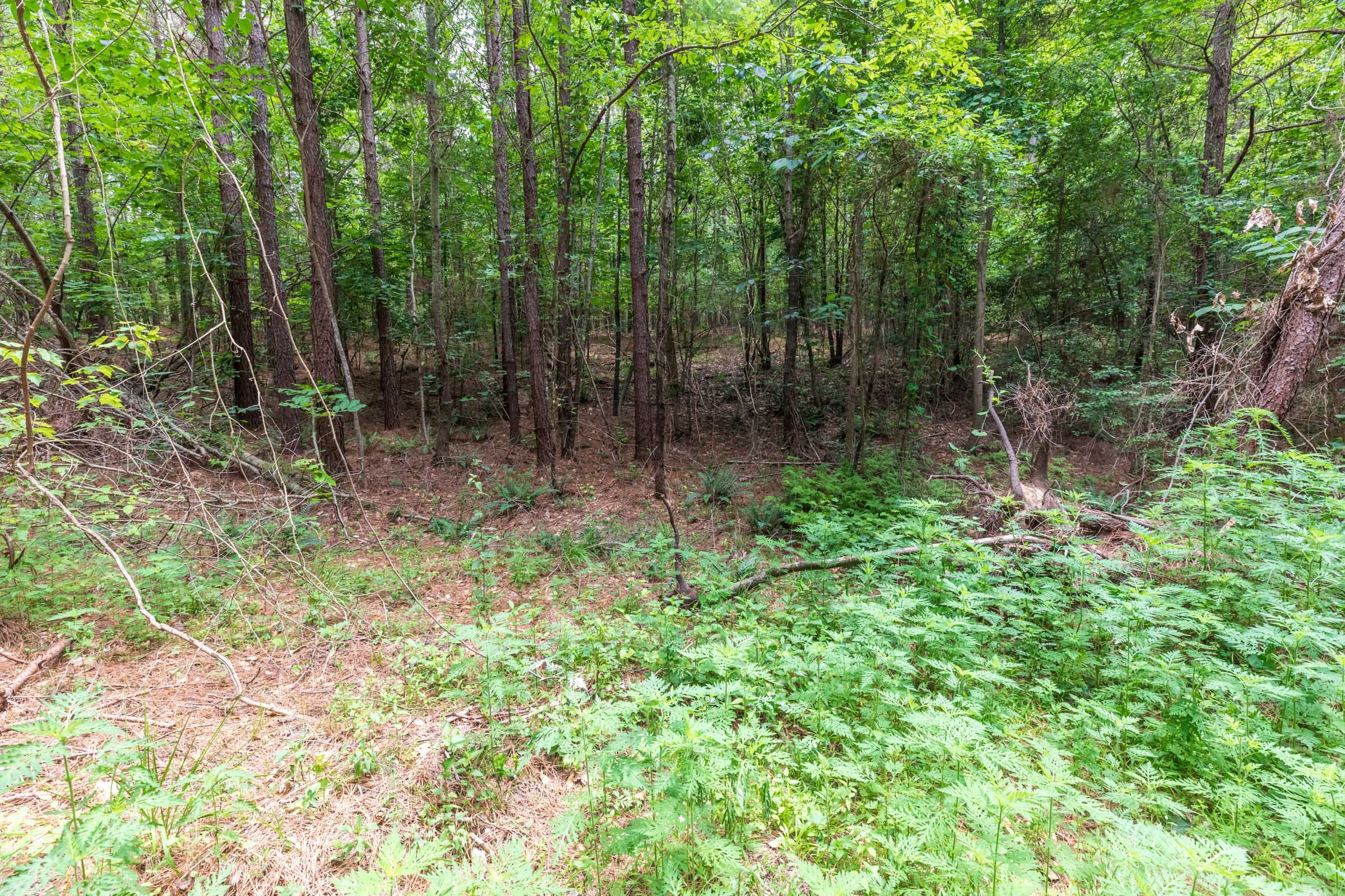 Whiskey Ridge Tract 29 photo 10