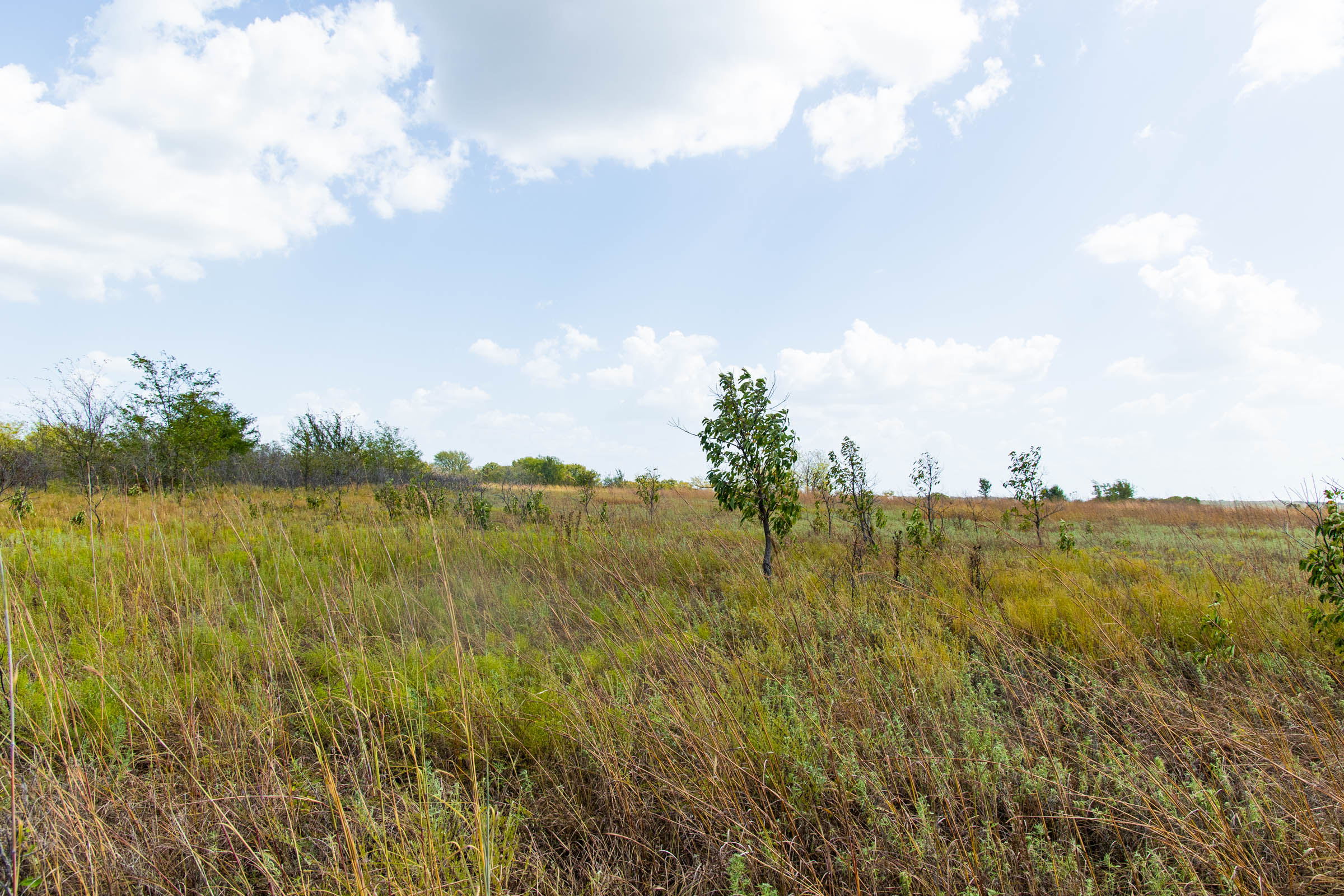 Gracyn Meadows Tract 16 photo 15