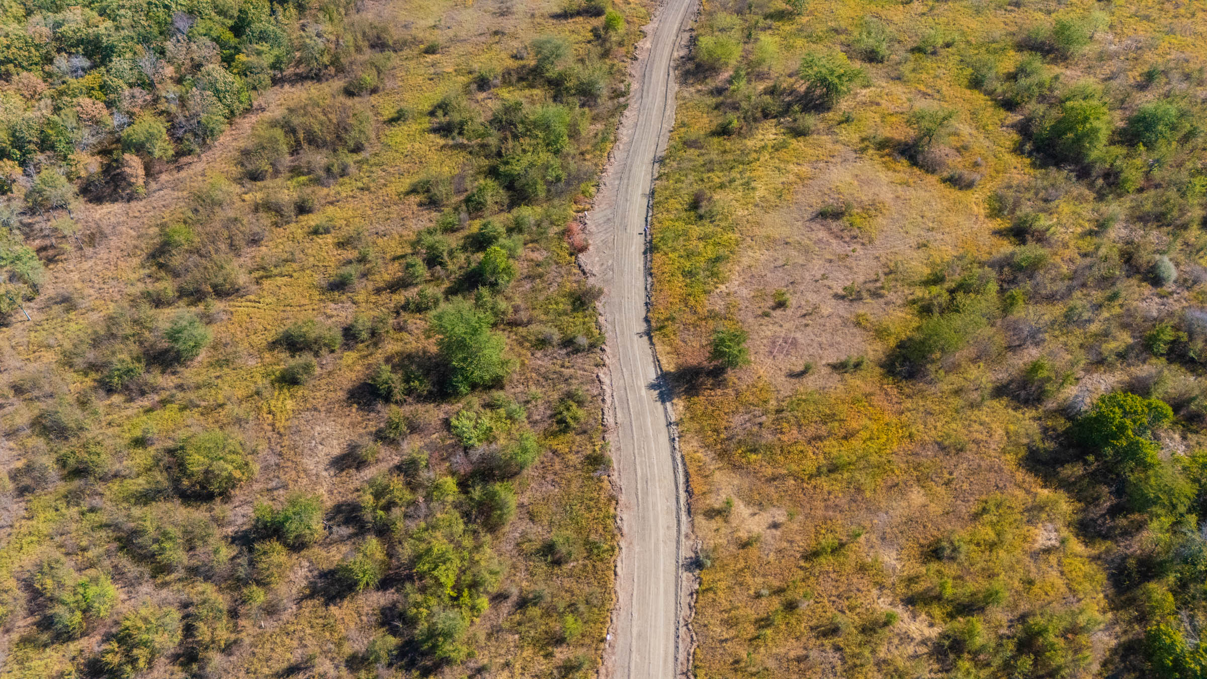 Gracyn Meadows Tract 16 photo 8