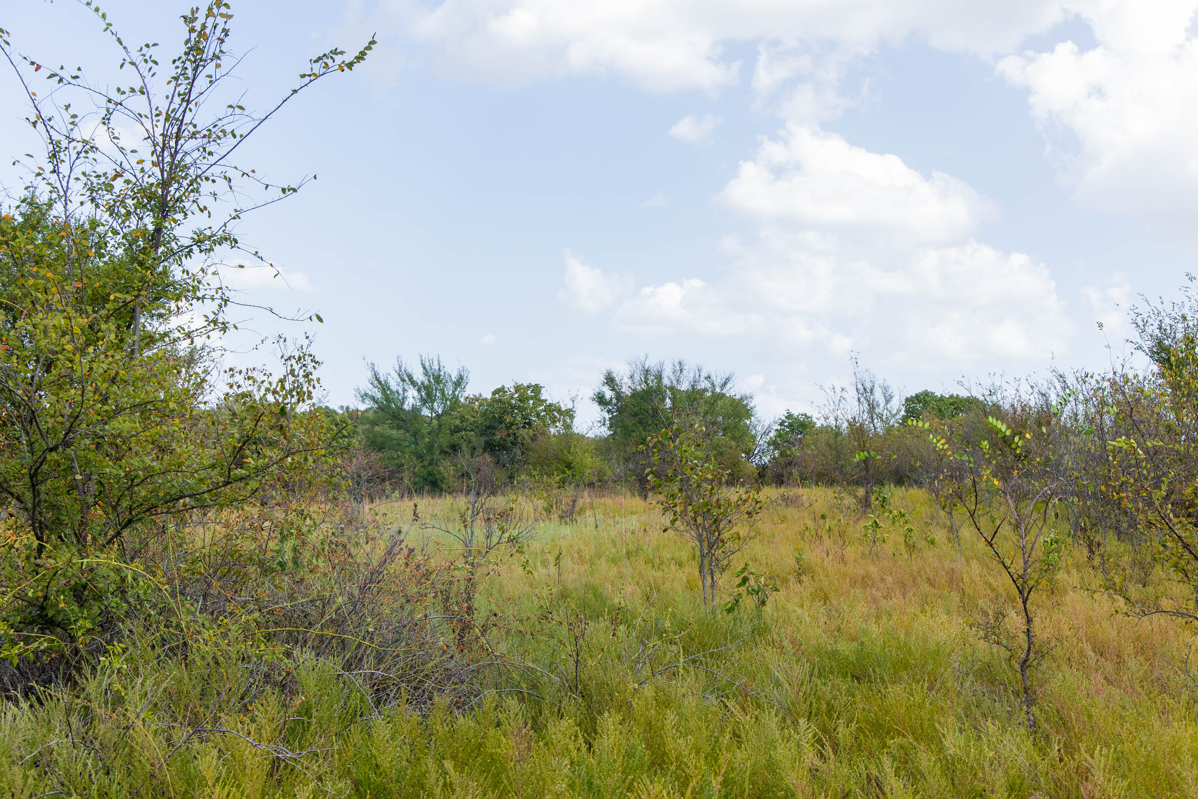 Gracyn Meadows Tract 16 photo 14
