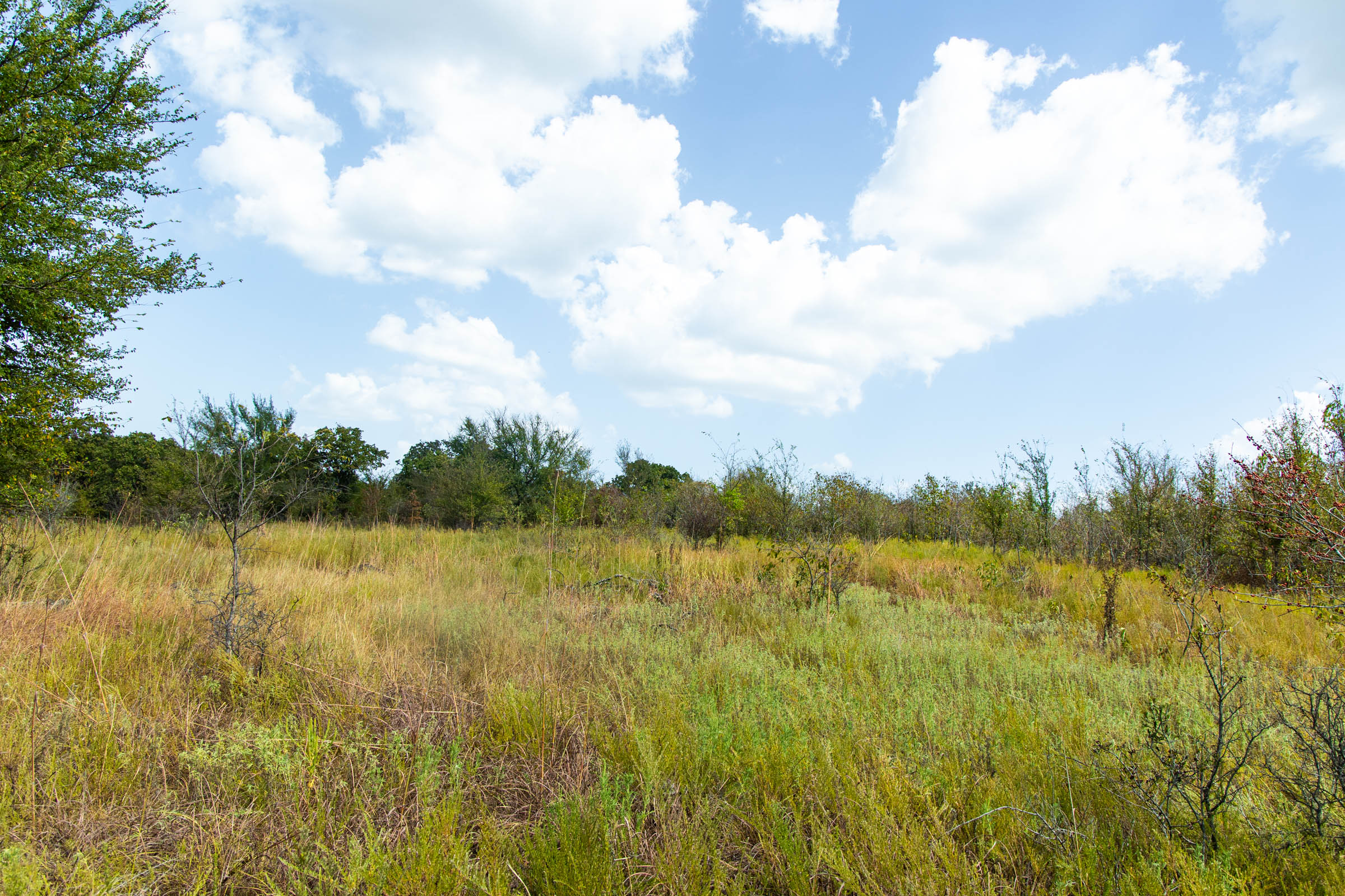 Gracyn Meadows Tract 16 photo 17
