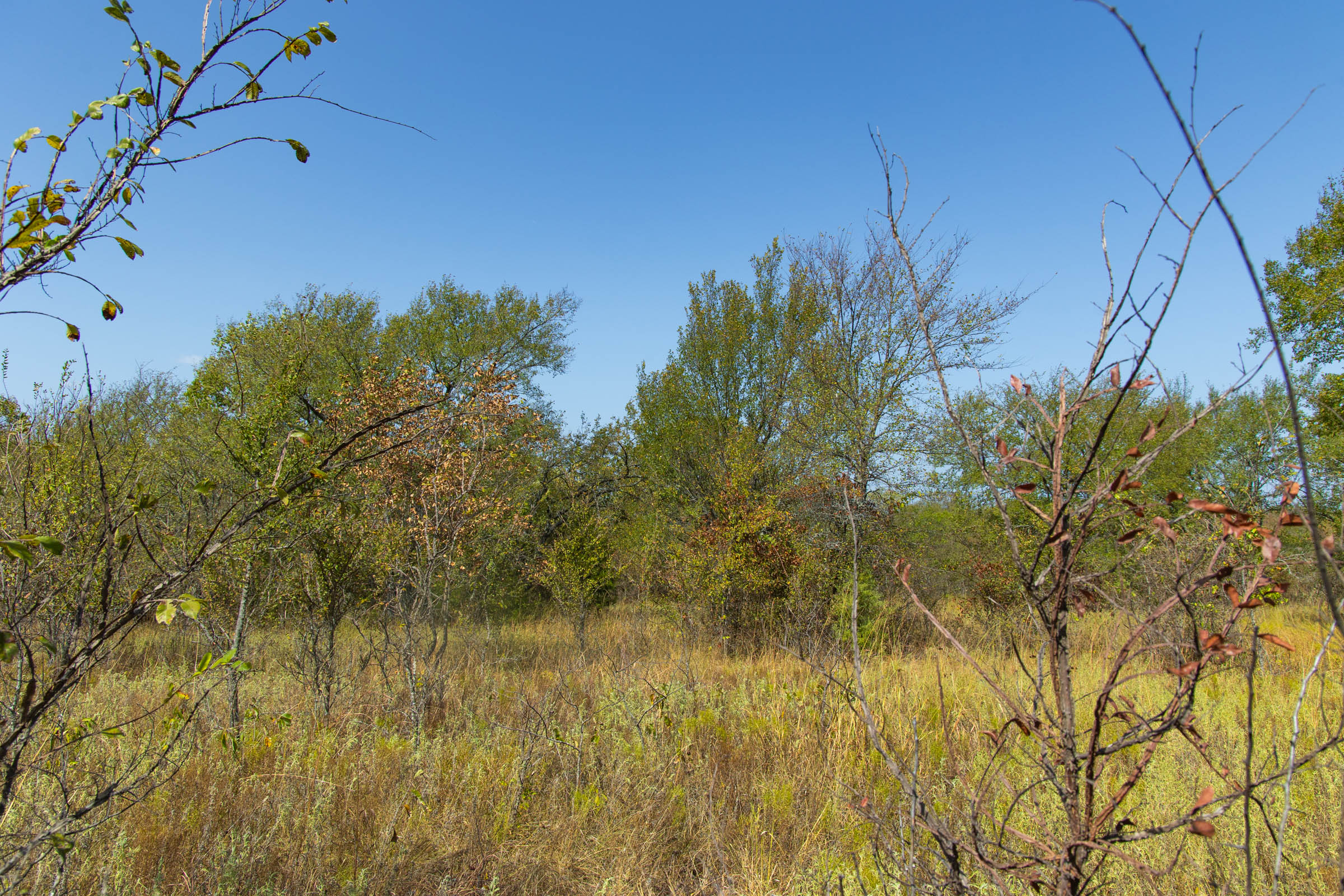 Gracyn Meadows Tract 16 photo 2